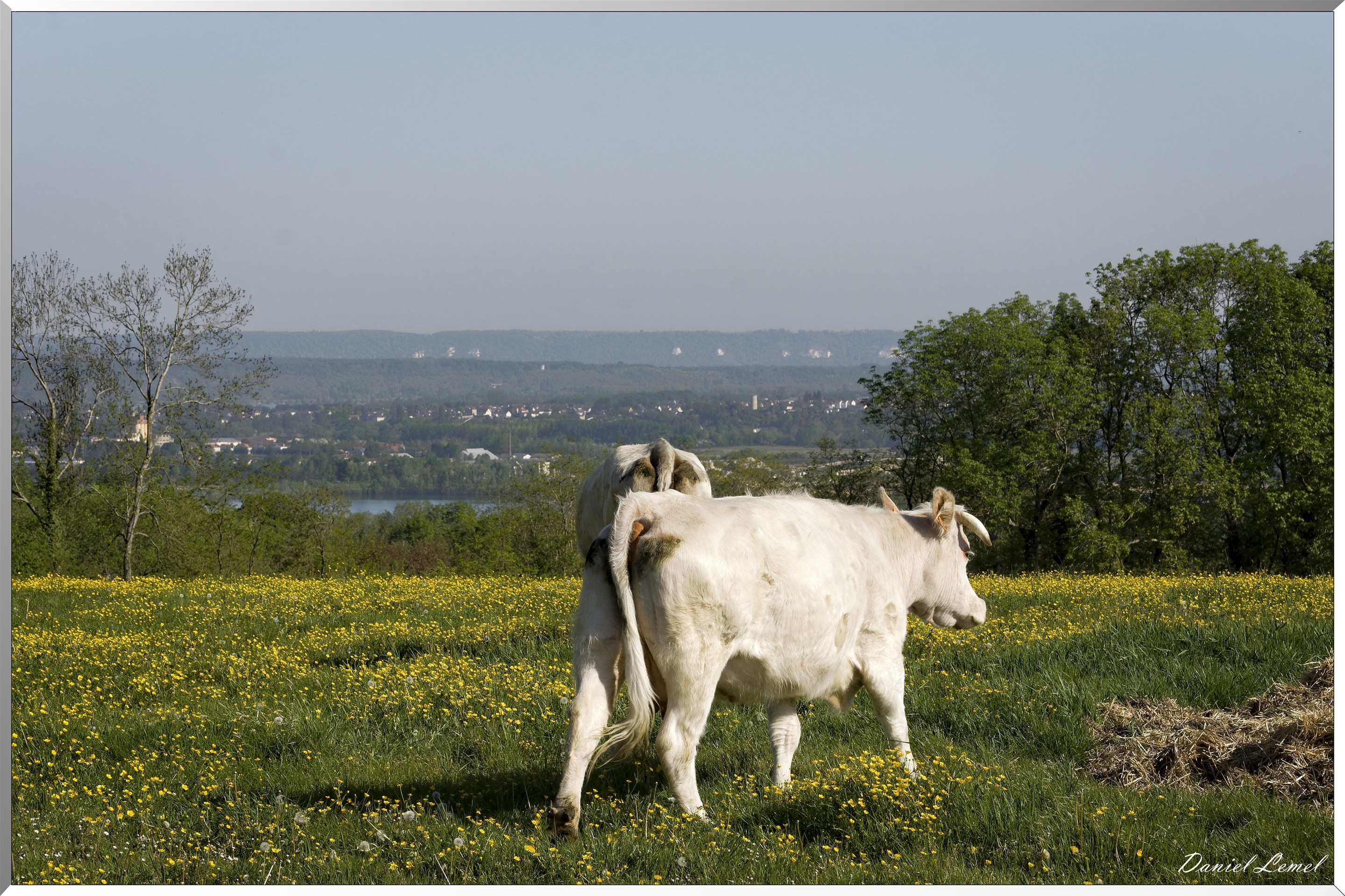 Saint-Pierre-de-Bailleul