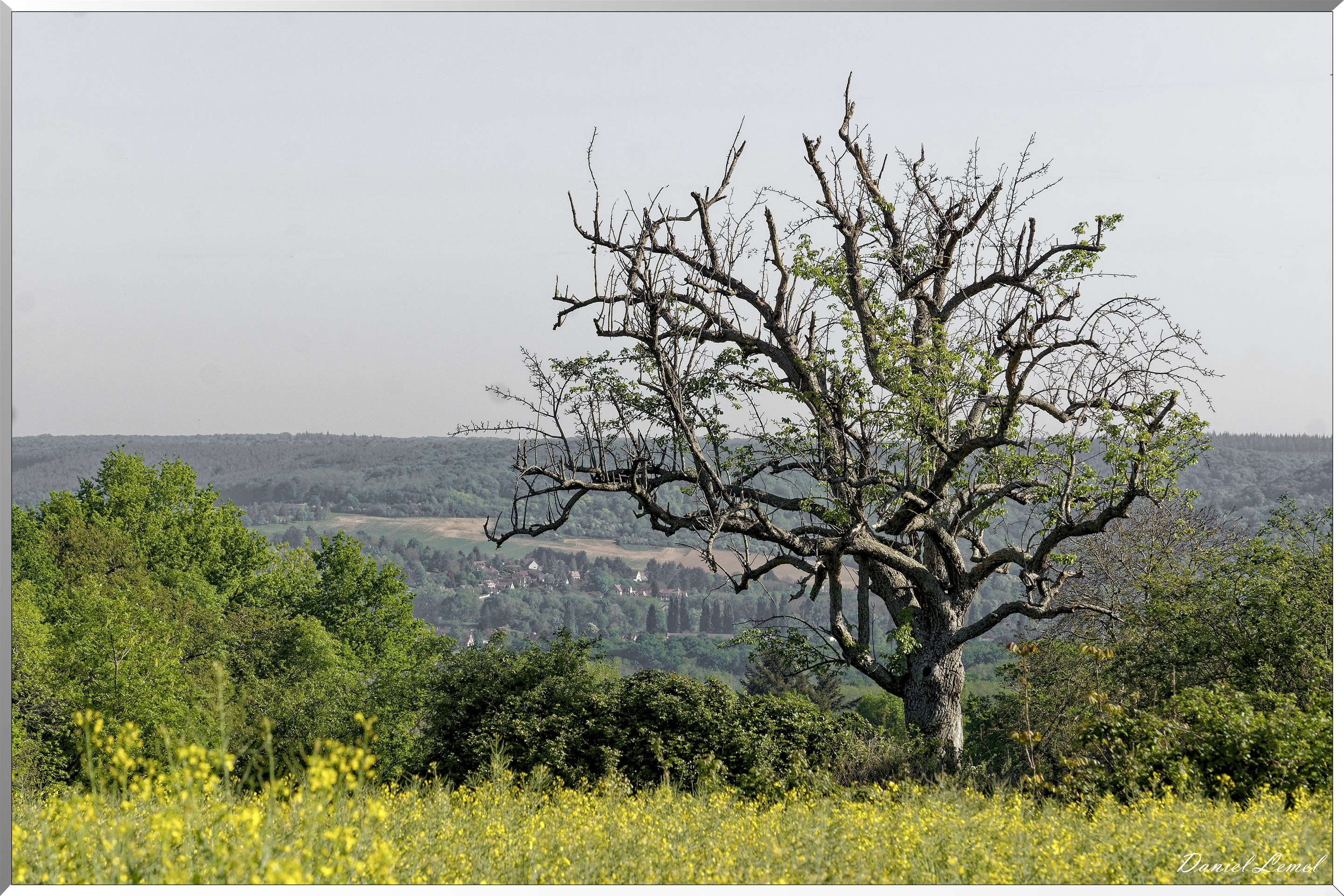Saint-Pierre-de-Bailleul
