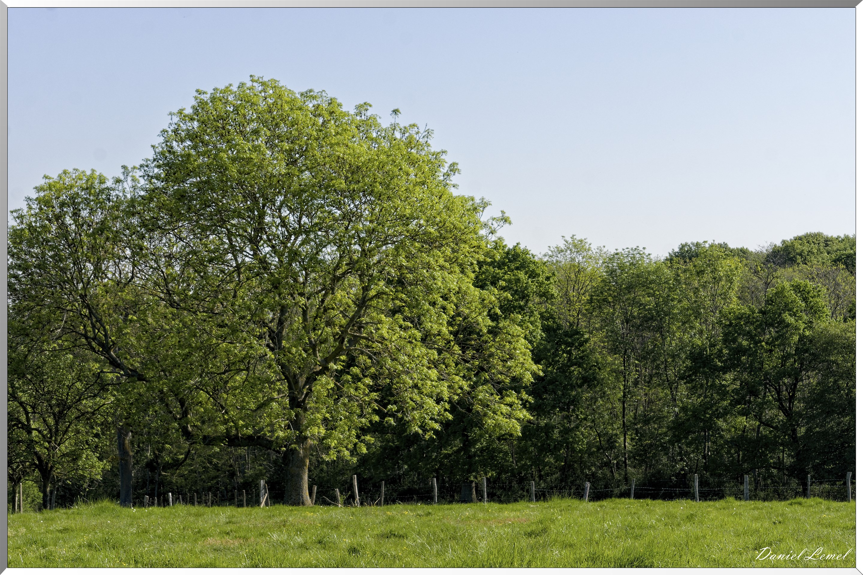 Saint-Pierre-de-Bailleul