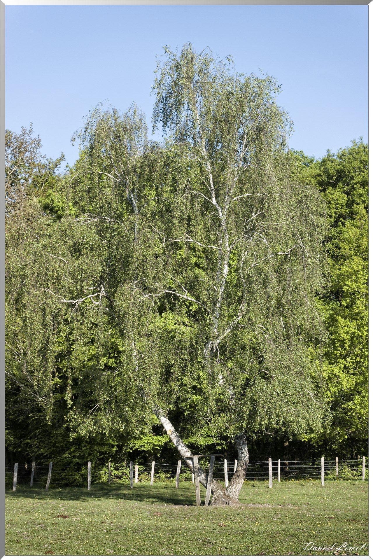 Saint-Pierre-de-Bailleul