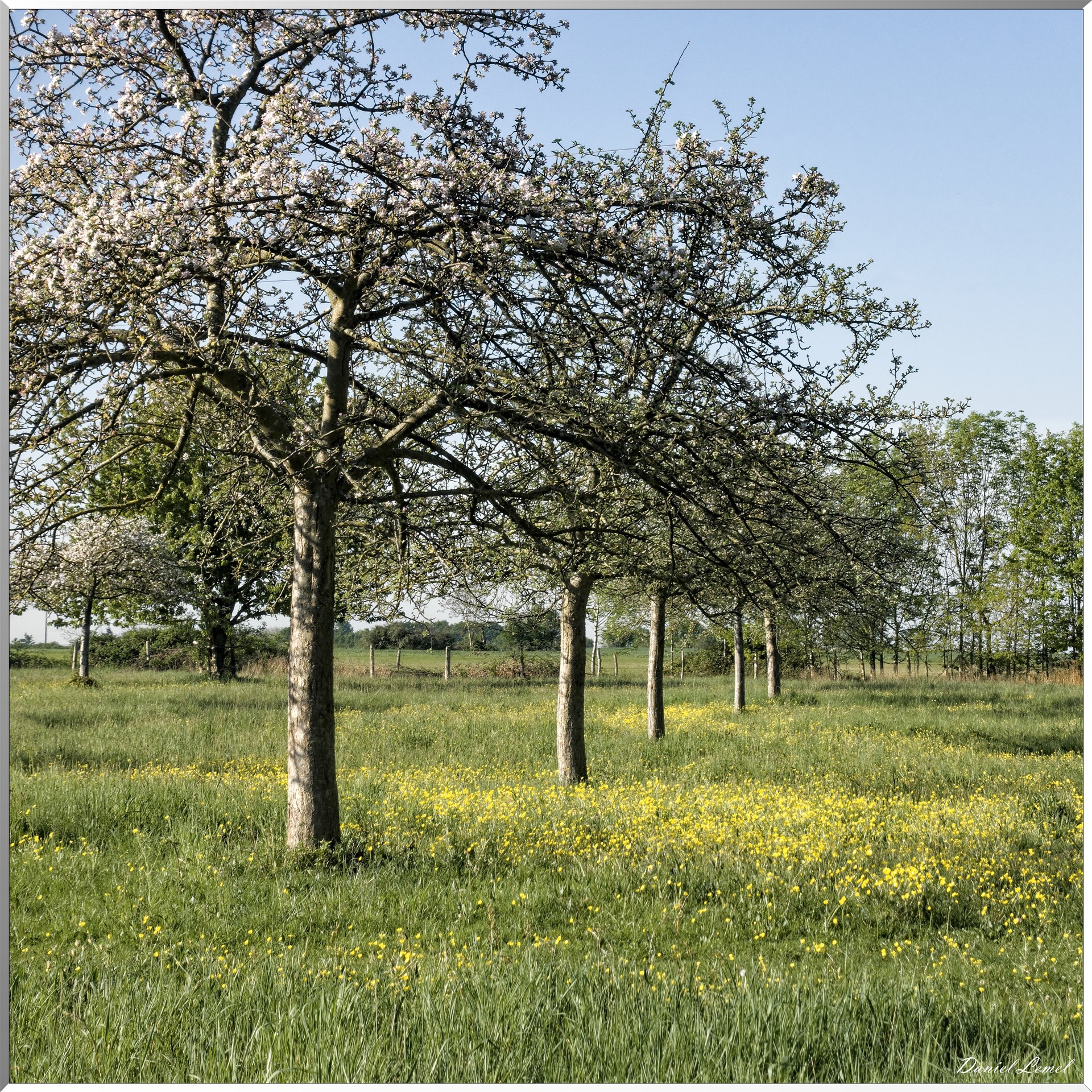 Saint-Pierre-de-Bailleul