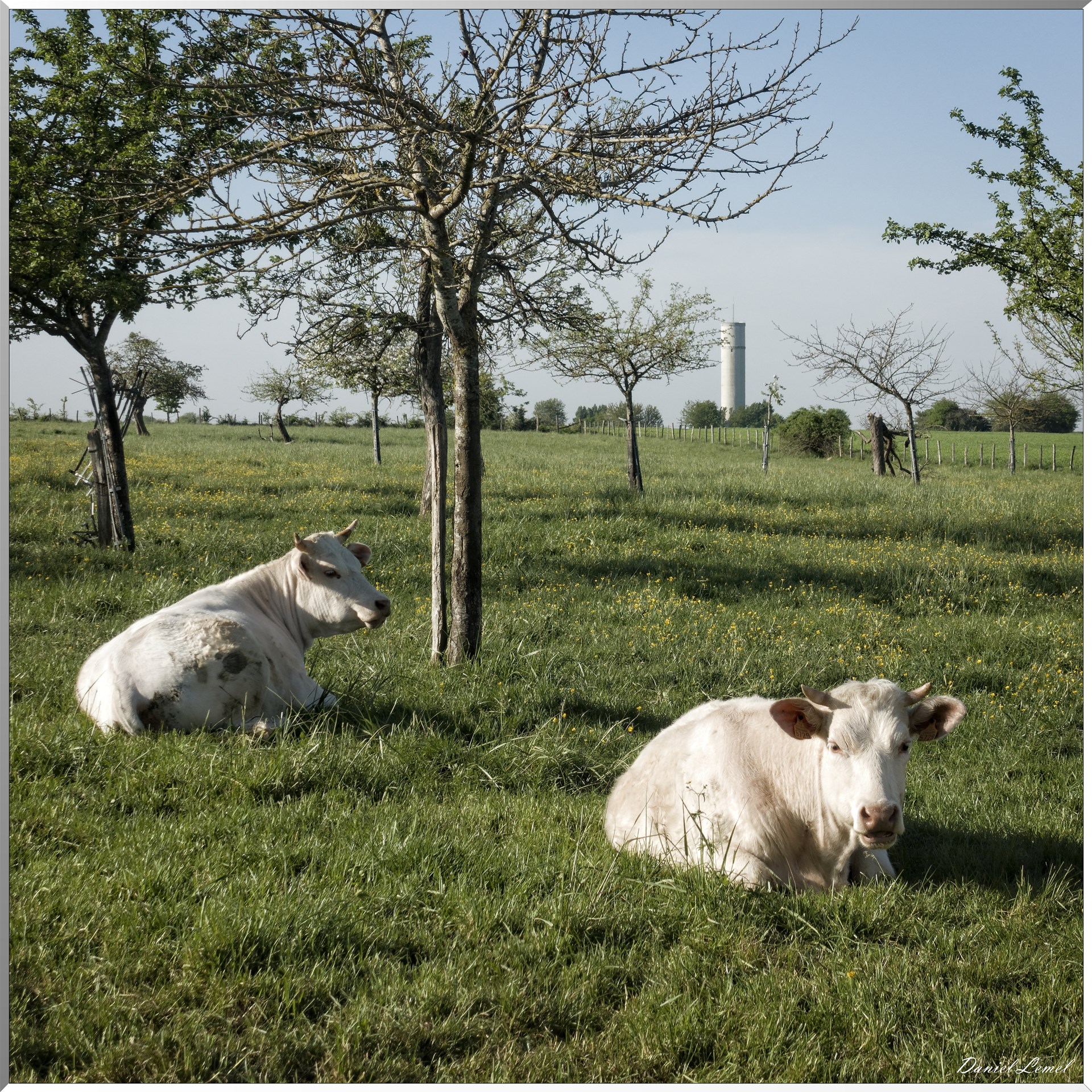 Saint-Pierre-de-Bailleul