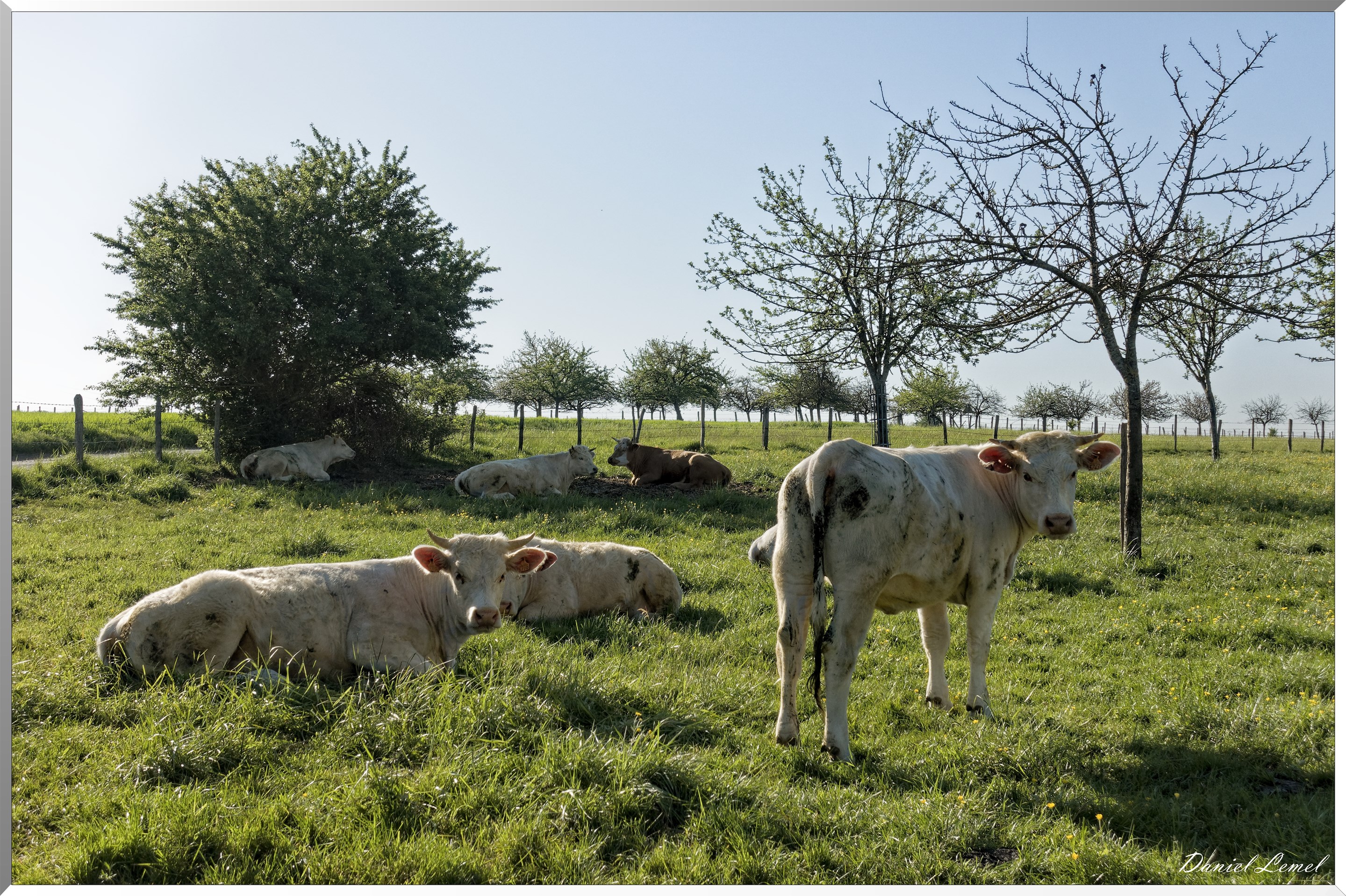 Saint-Pierre-de-Bailleul