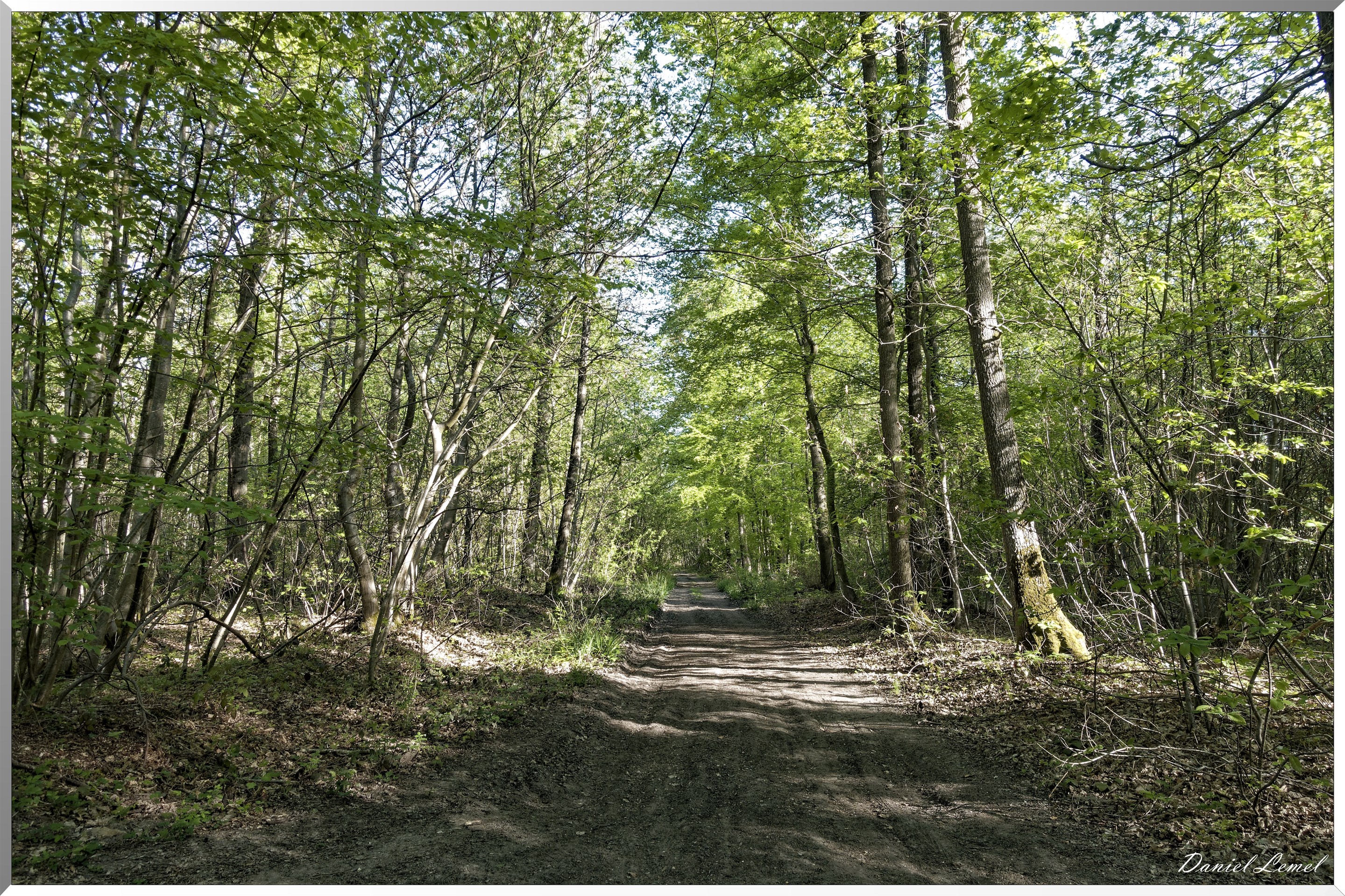 Saint-Pierre-de-Bailleul