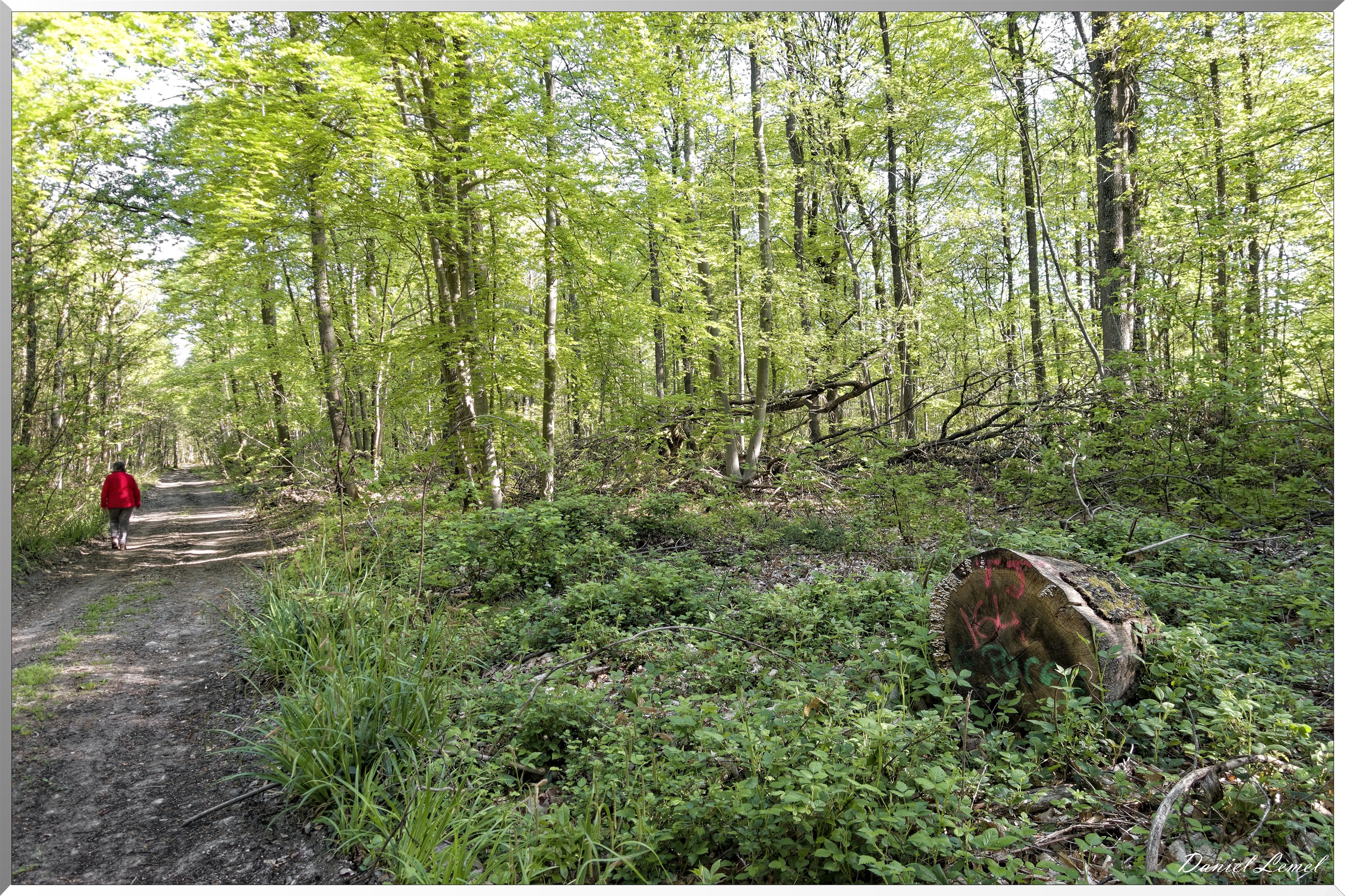 Saint-Pierre-de-Bailleul