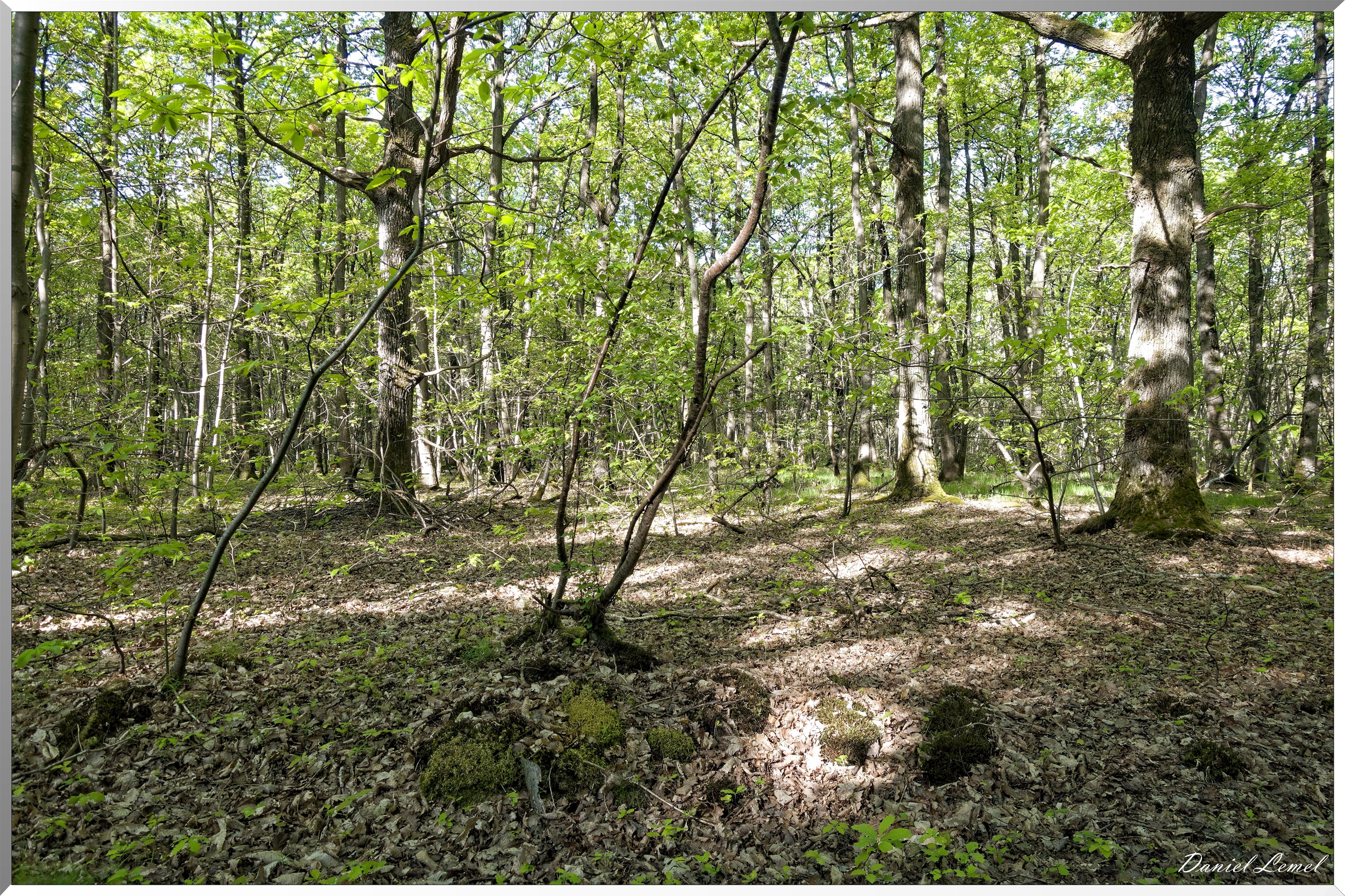 Saint-Pierre-de-Bailleul