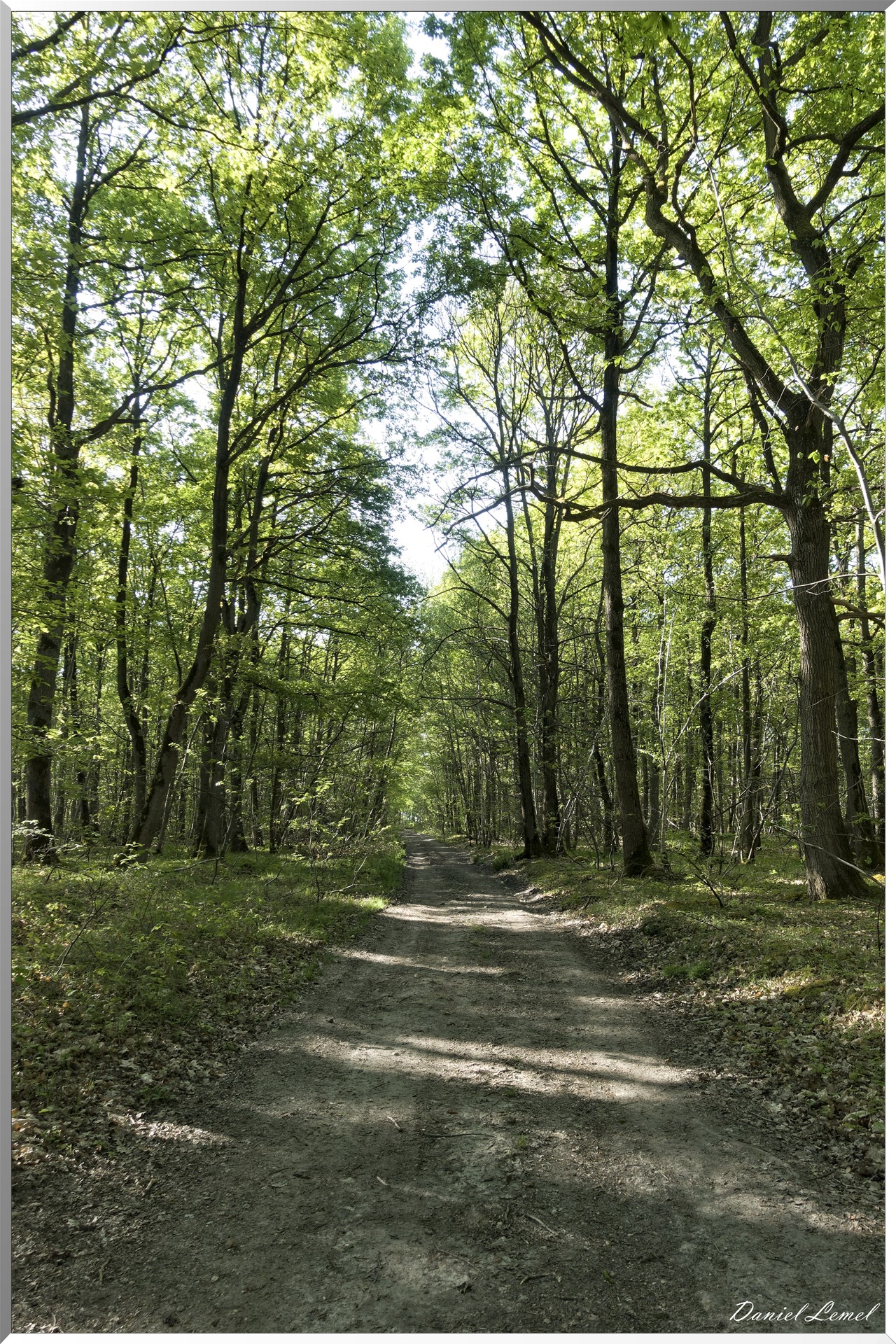 Saint-Pierre-de-Bailleul