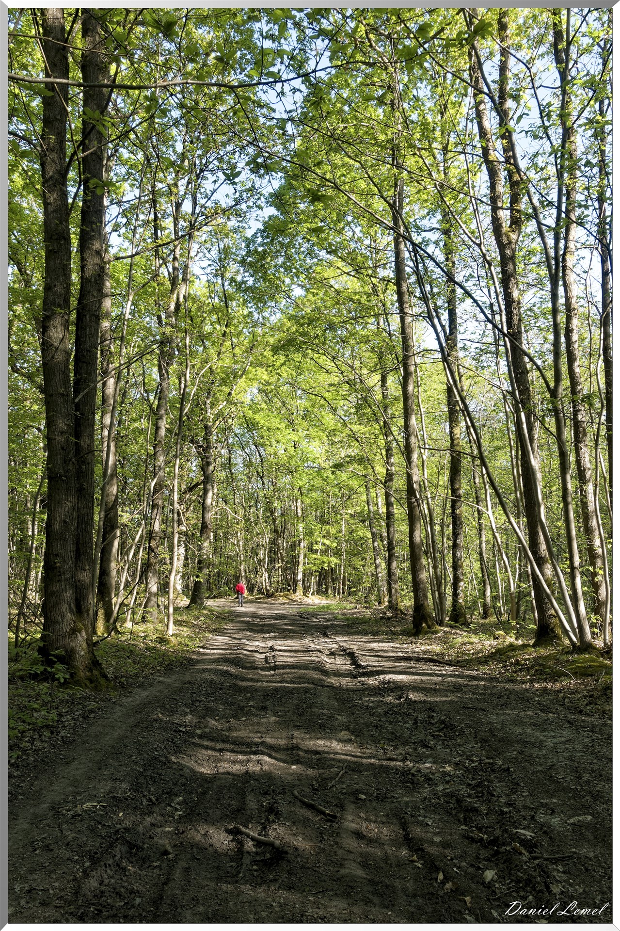 Saint-Pierre-de-Bailleul