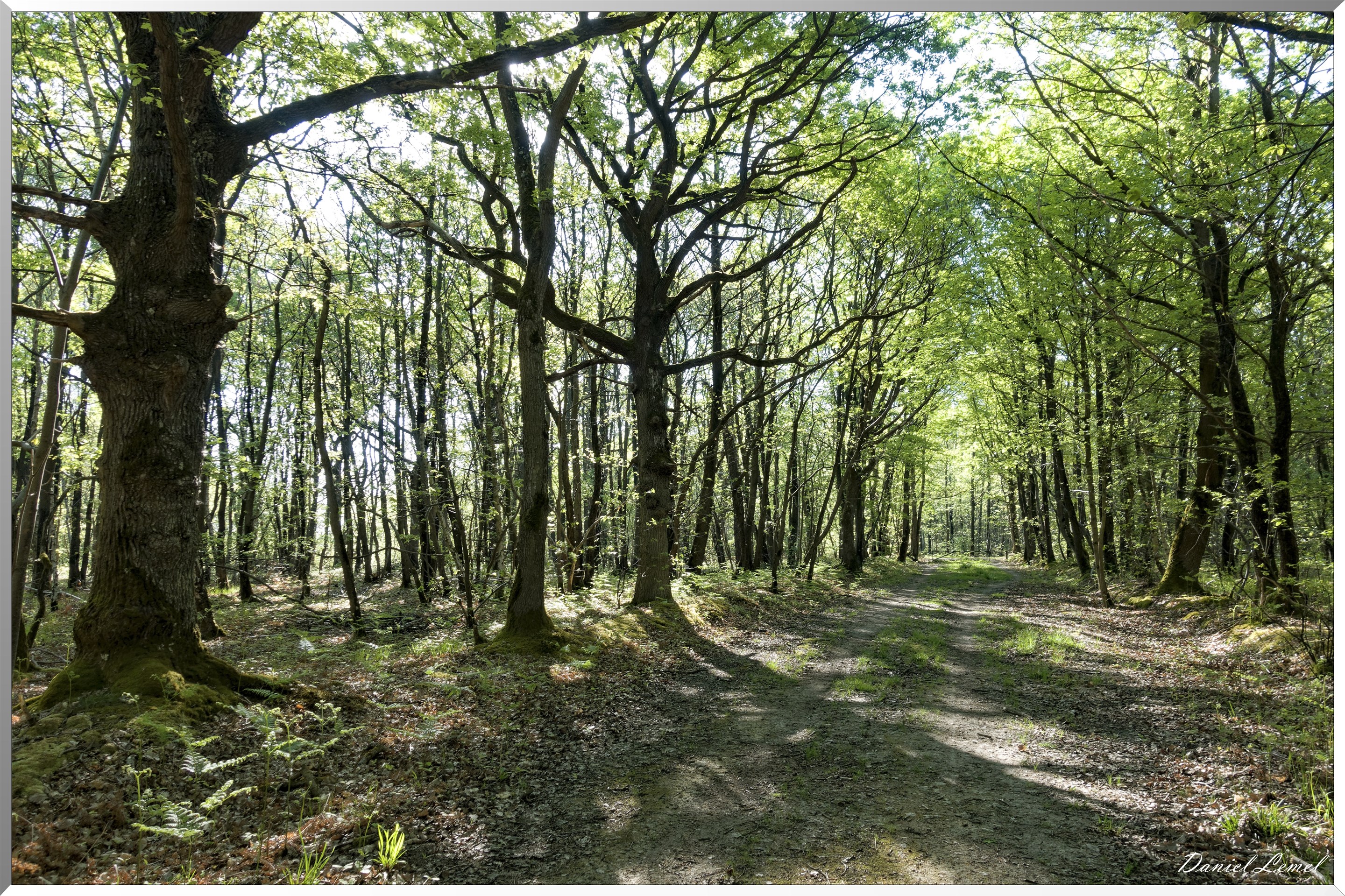 Saint-Pierre-de-Bailleul