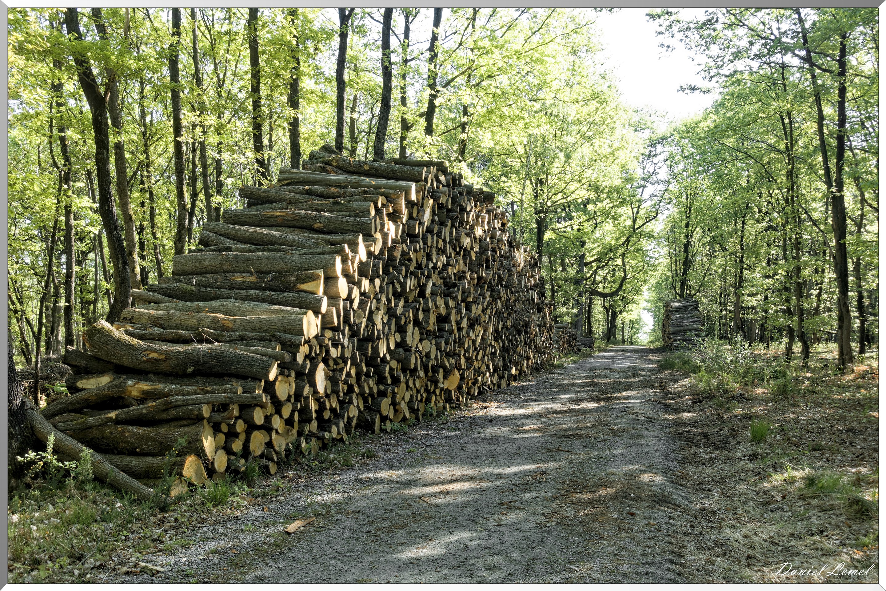 Saint-Pierre-de-Bailleul