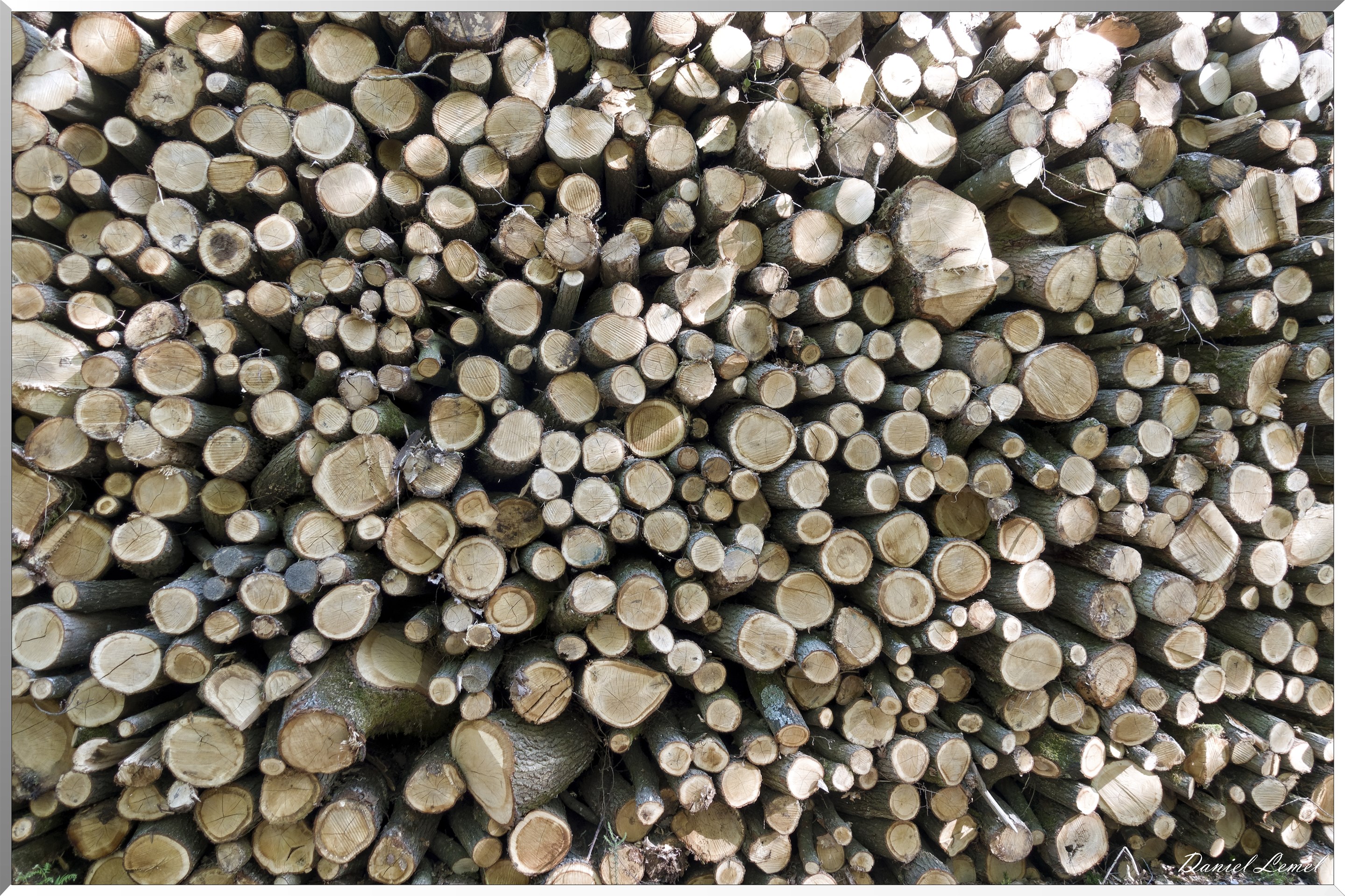 Saint-Pierre-de-Bailleul