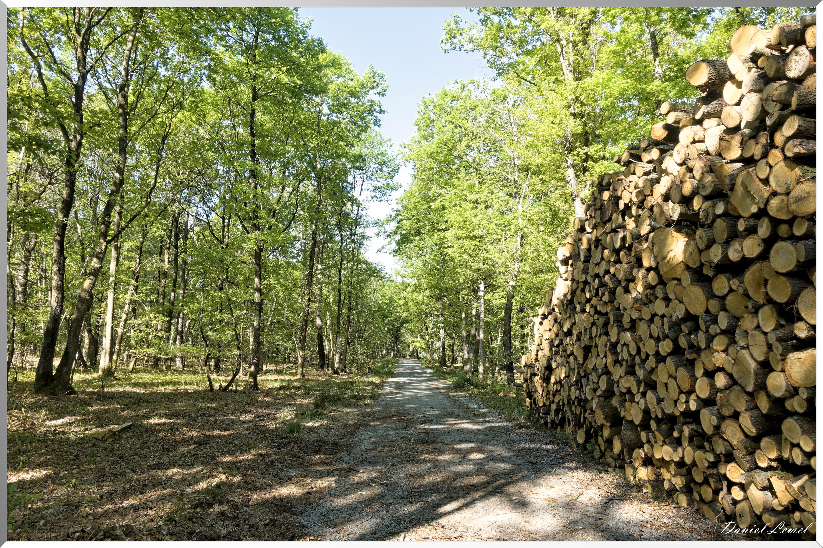 Saint-Pierre-de-Bailleul