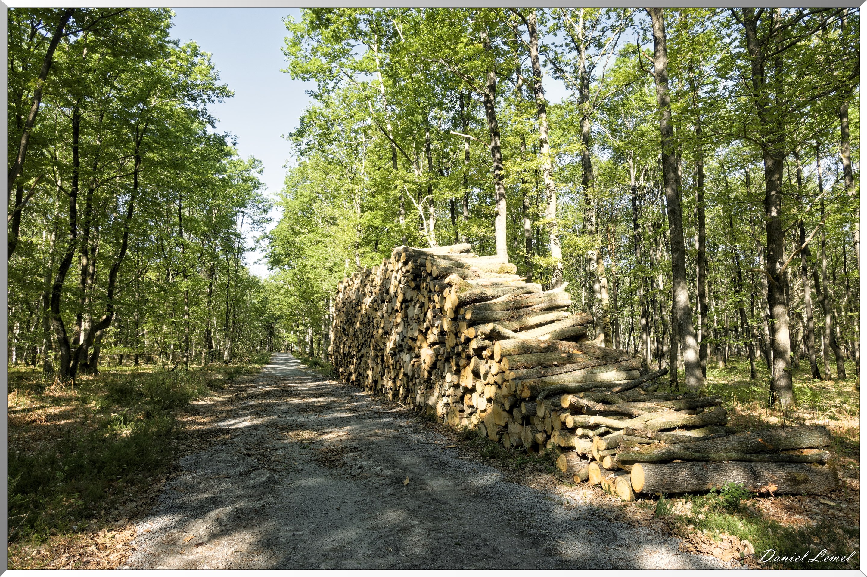 Saint-Pierre-de-Bailleul