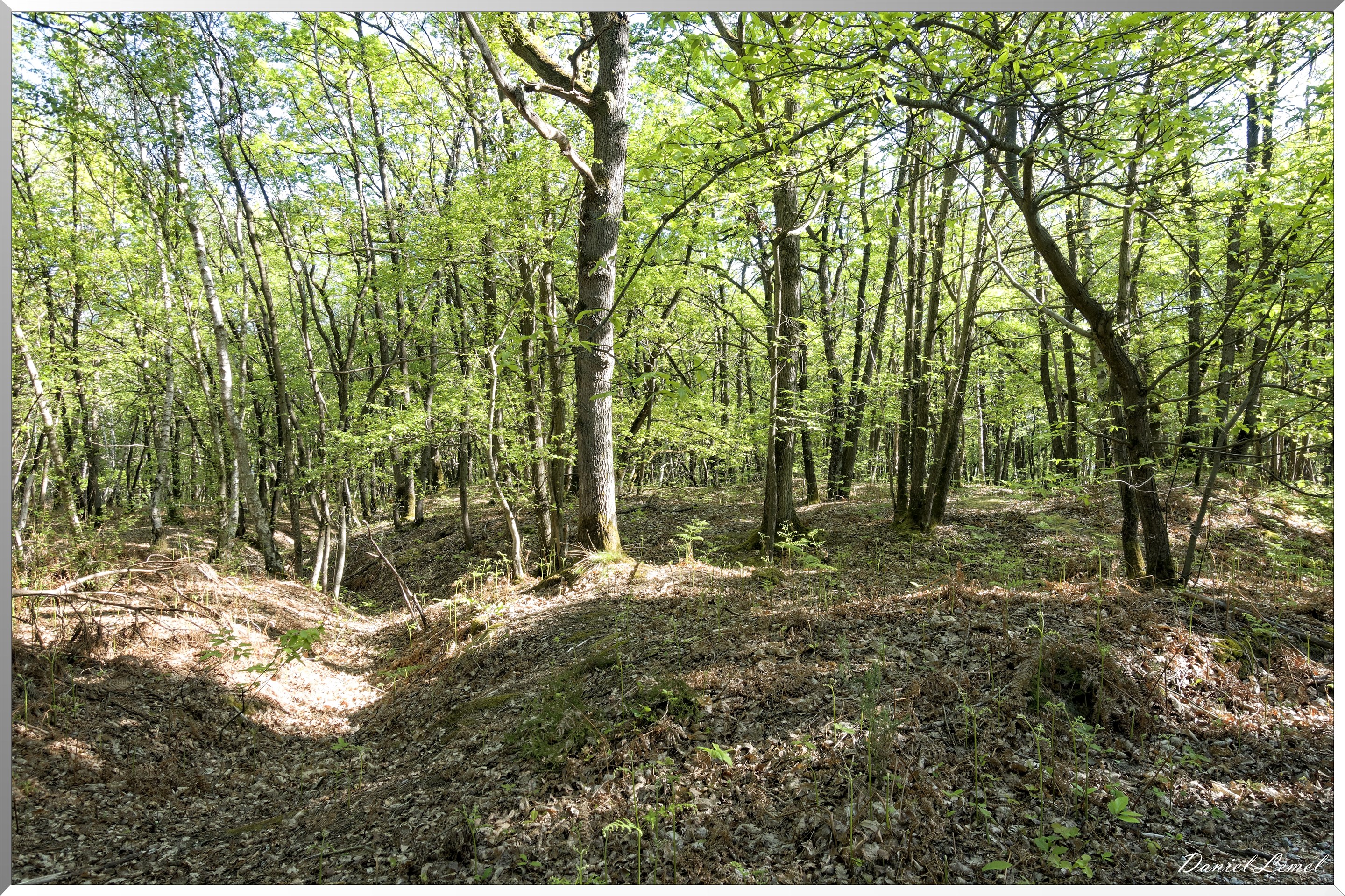 Saint-Pierre-de-Bailleul