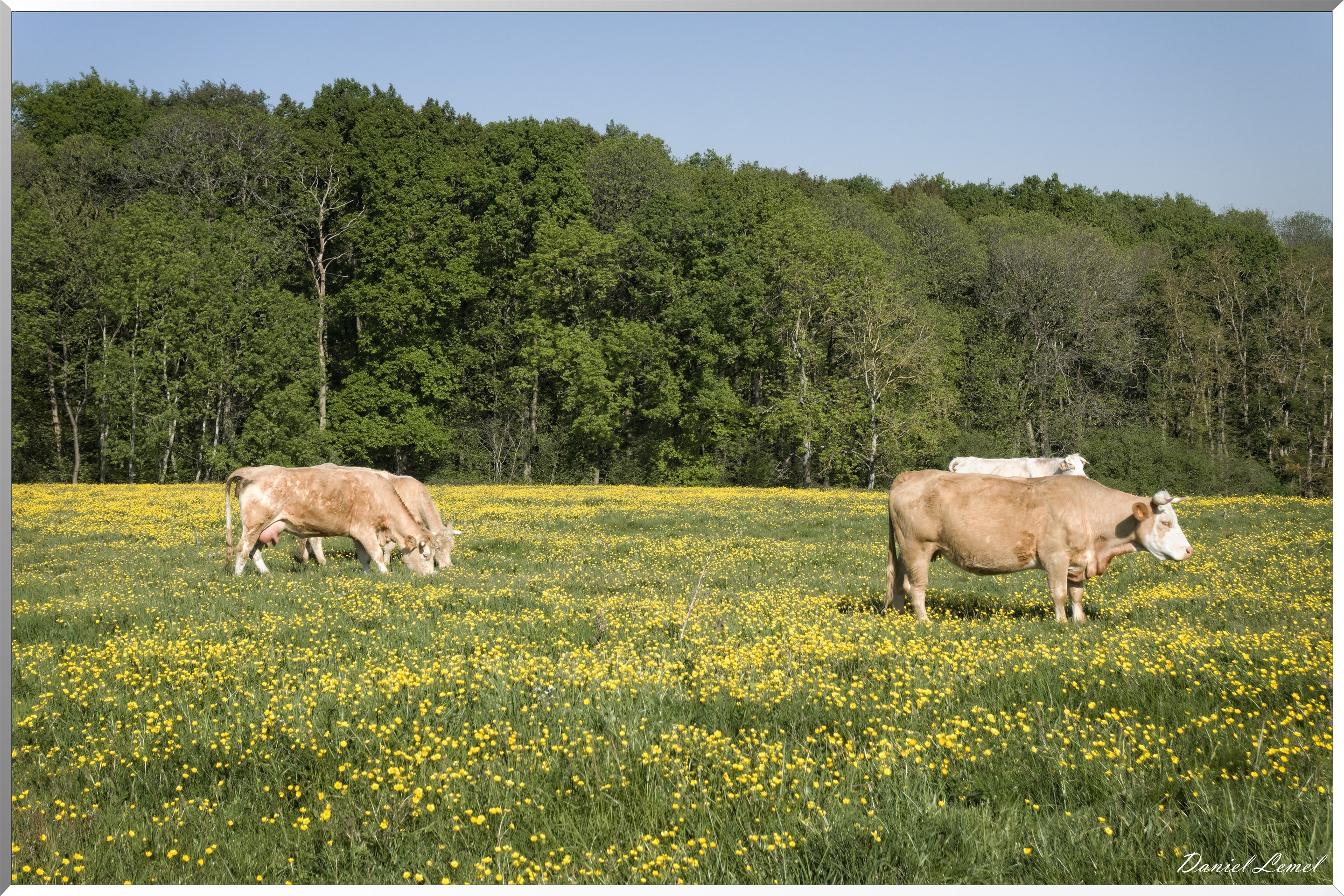 Saint-Pierre-de-Bailleul