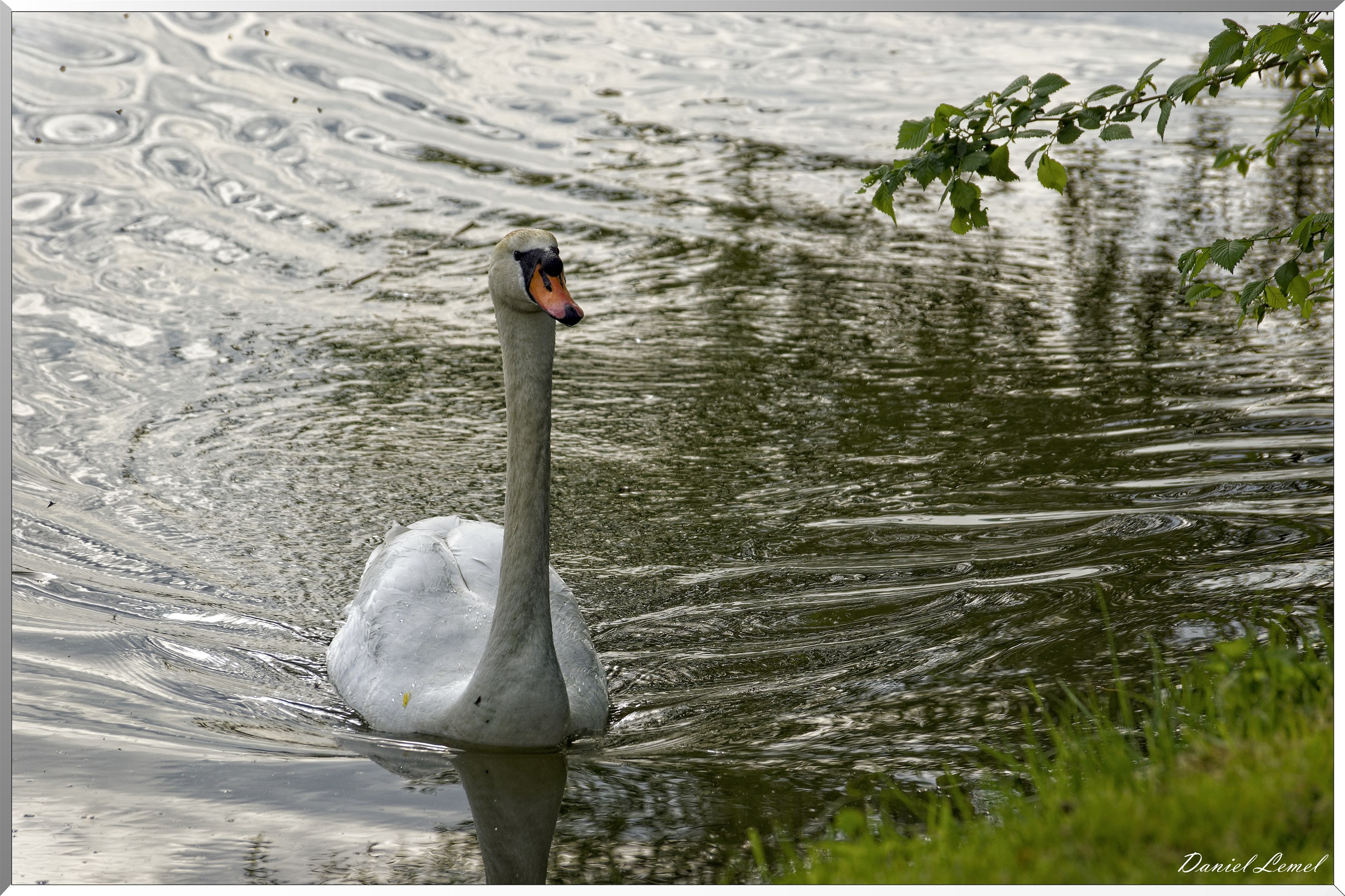 Saint-Pierre-de-Bailleul