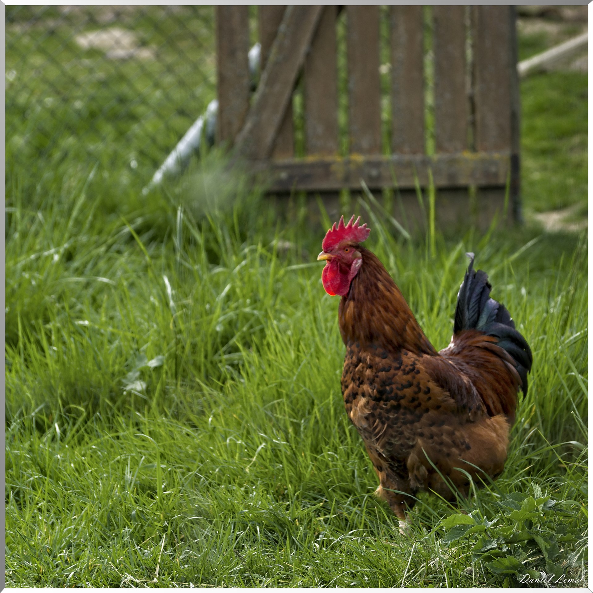 Saint-Pierre-de-Bailleul