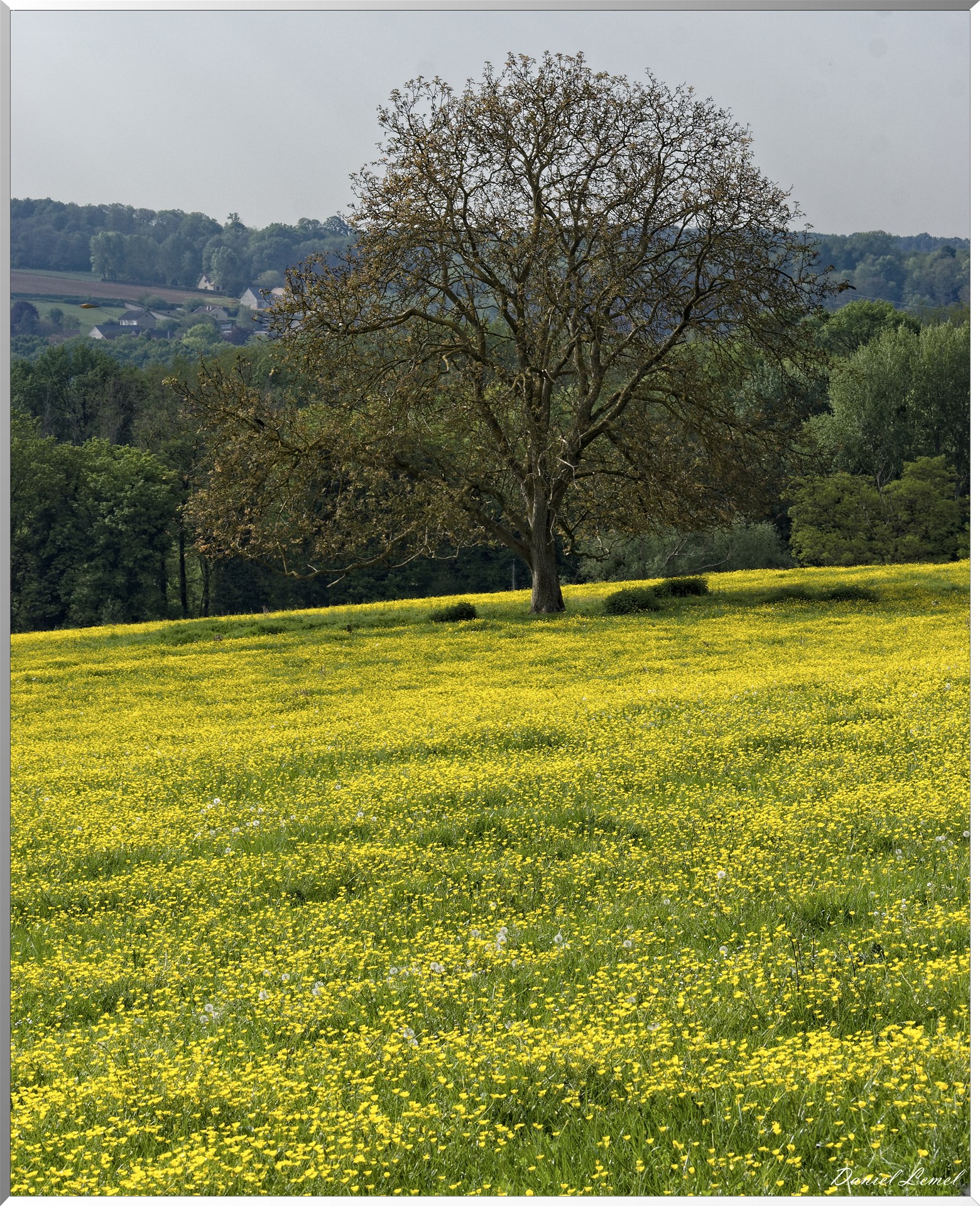 Saint-Pierre-de-Bailleul