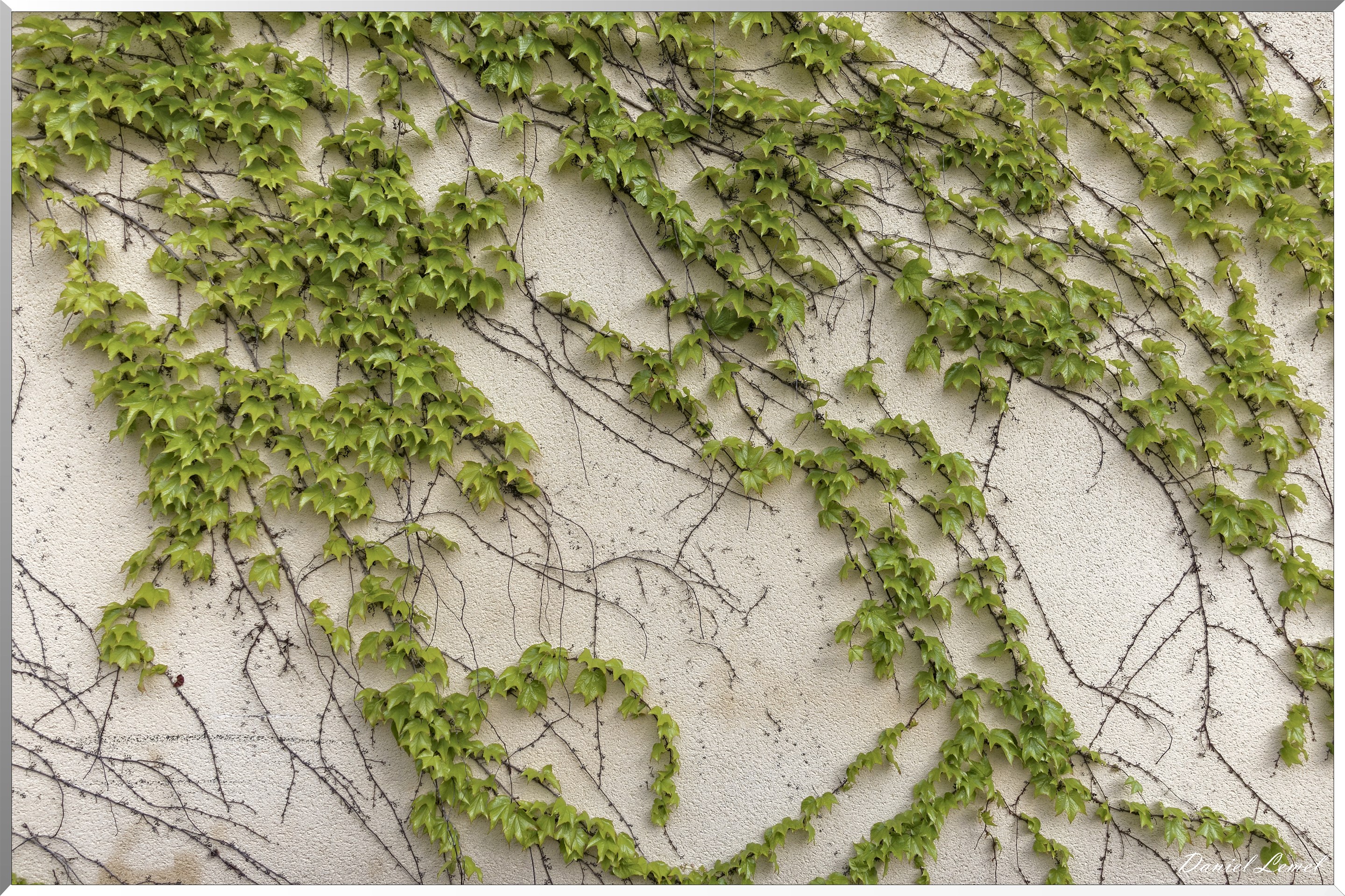 Saint-Pierre-de-Bailleul