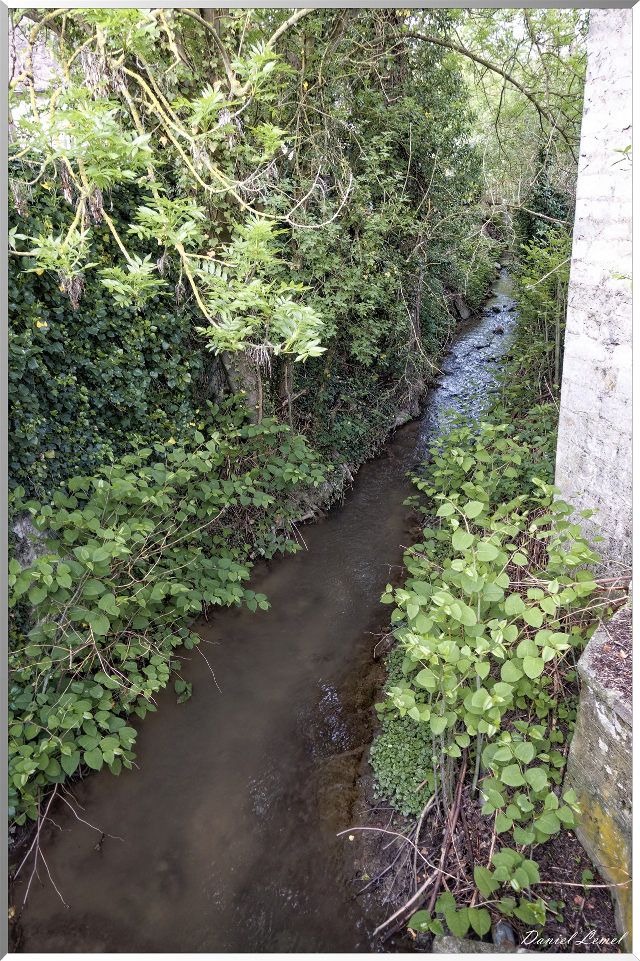 Saint-Pierre-de-Bailleul