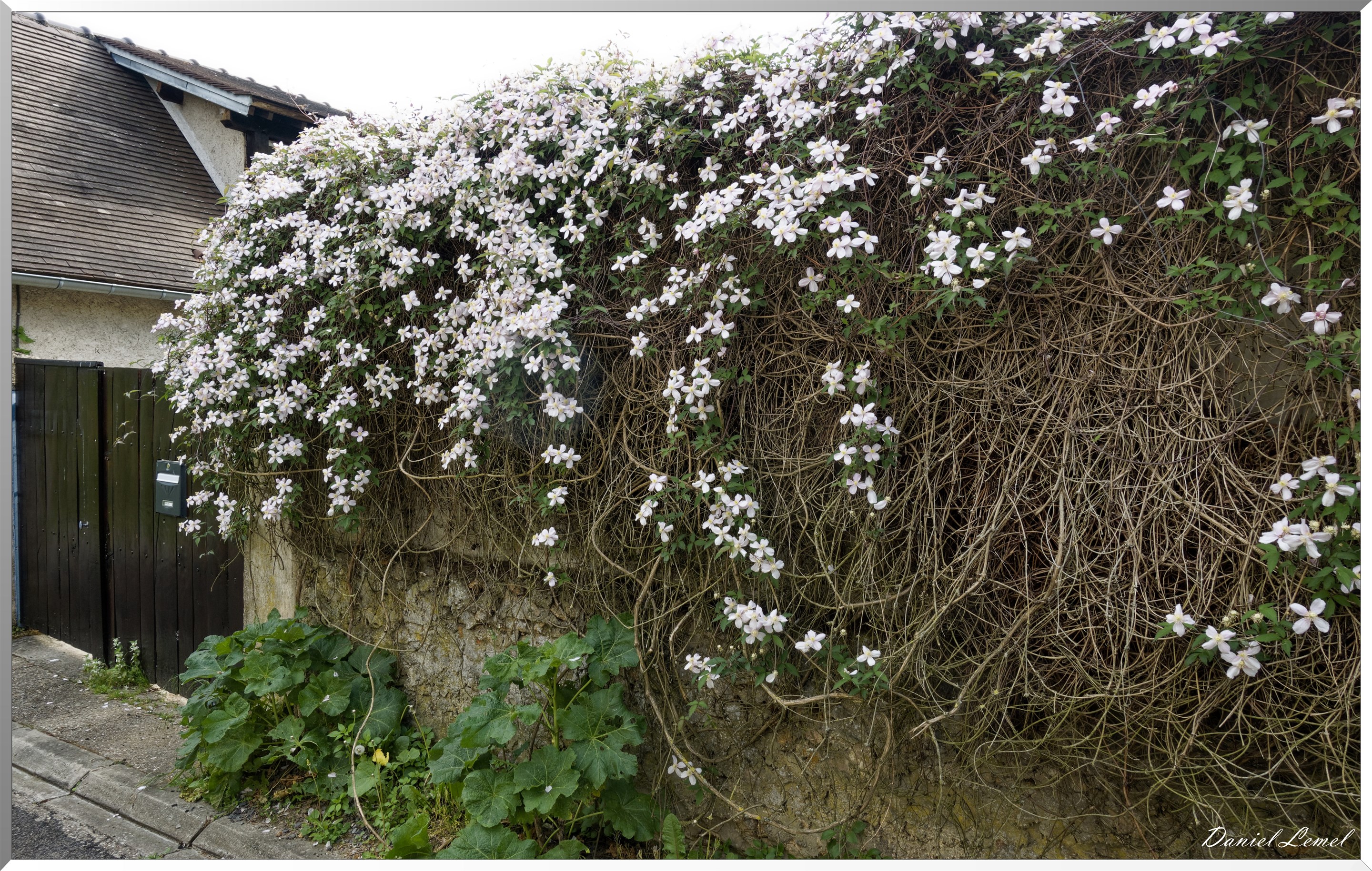 Saint-Pierre-de-Bailleul