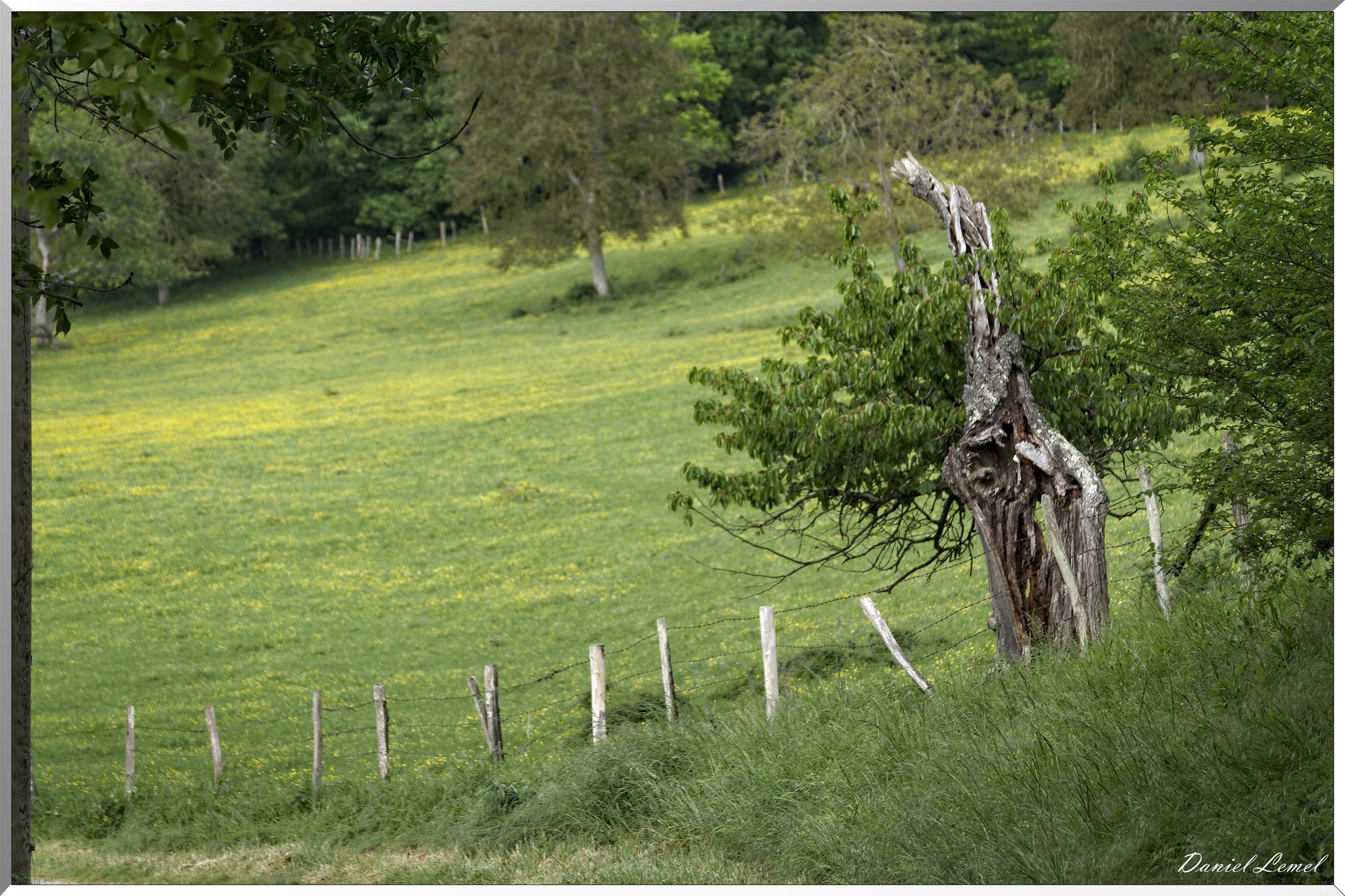 Saint-Pierre-de-Bailleul