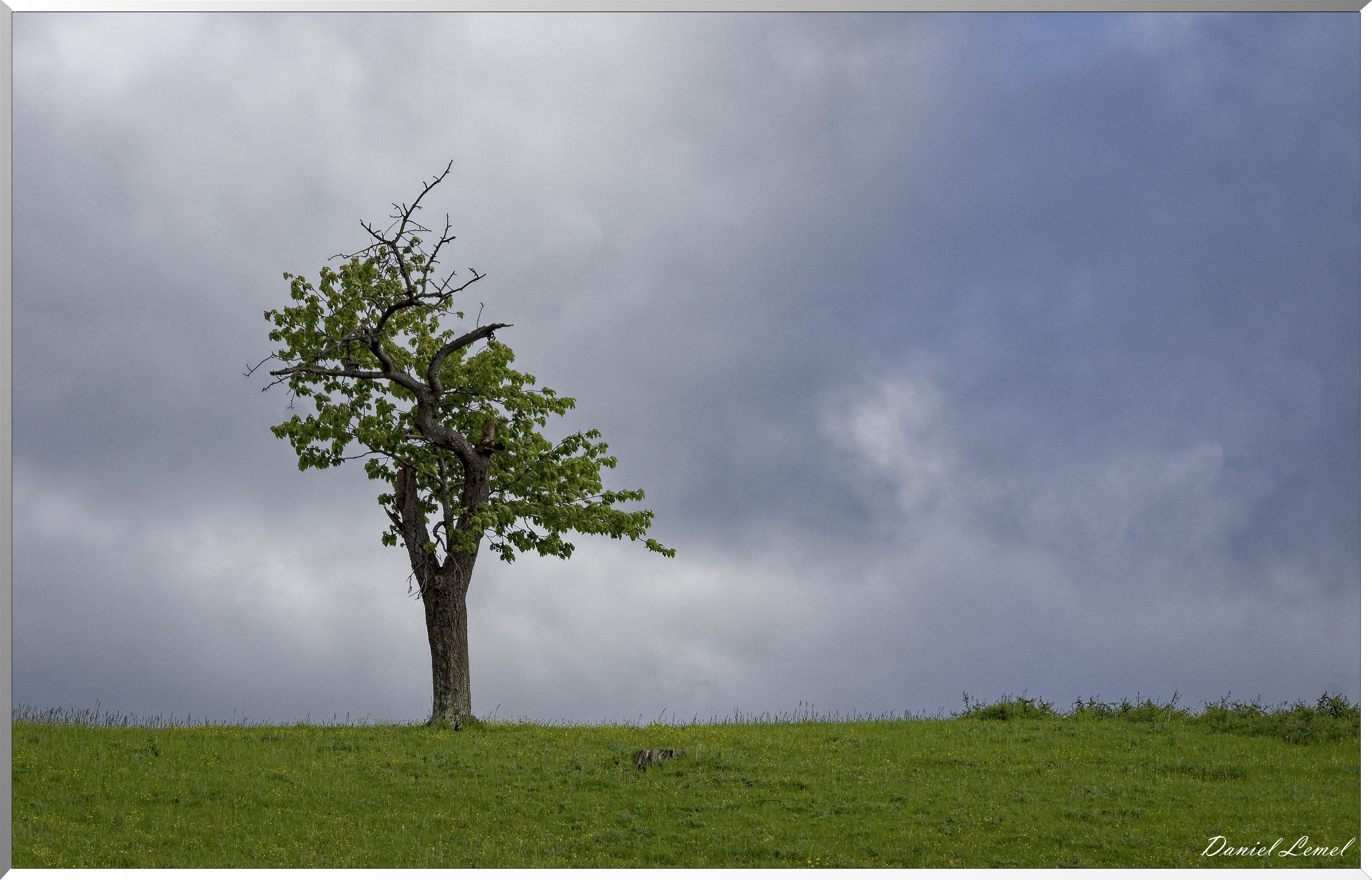 Saint-Pierre-de-Bailleul