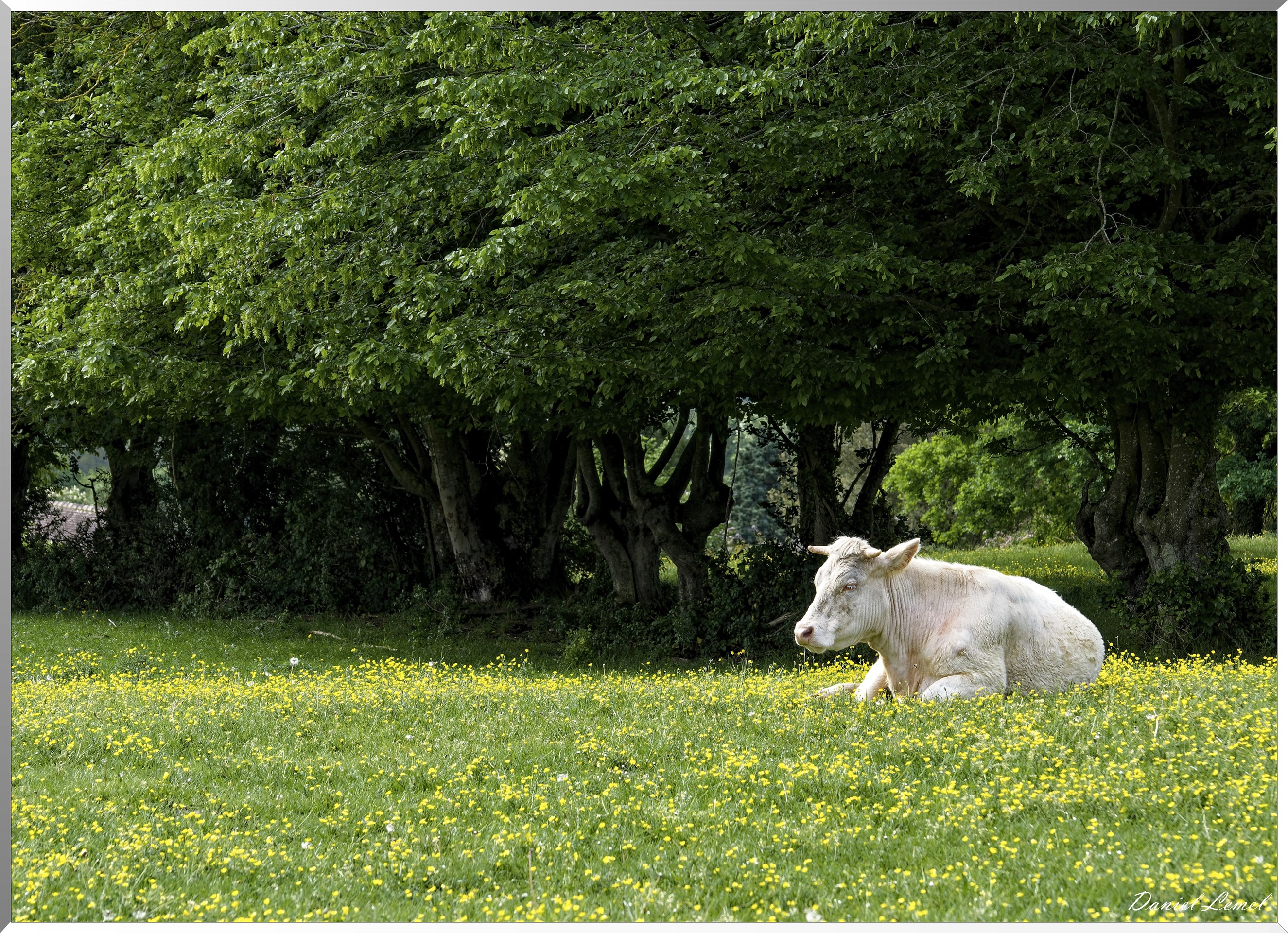Saint-Pierre-de-Bailleul