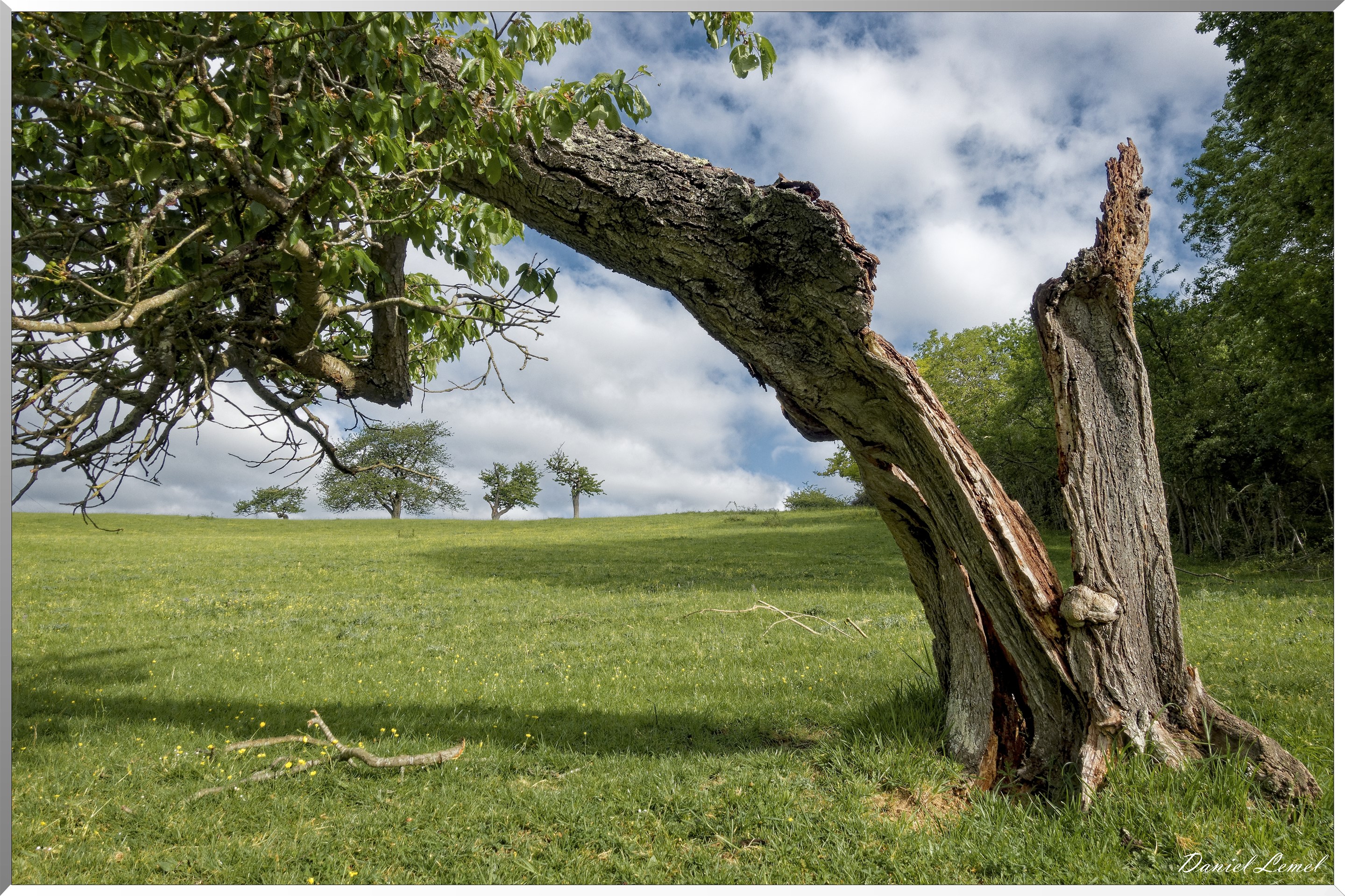Saint-Pierre-de-Bailleul
