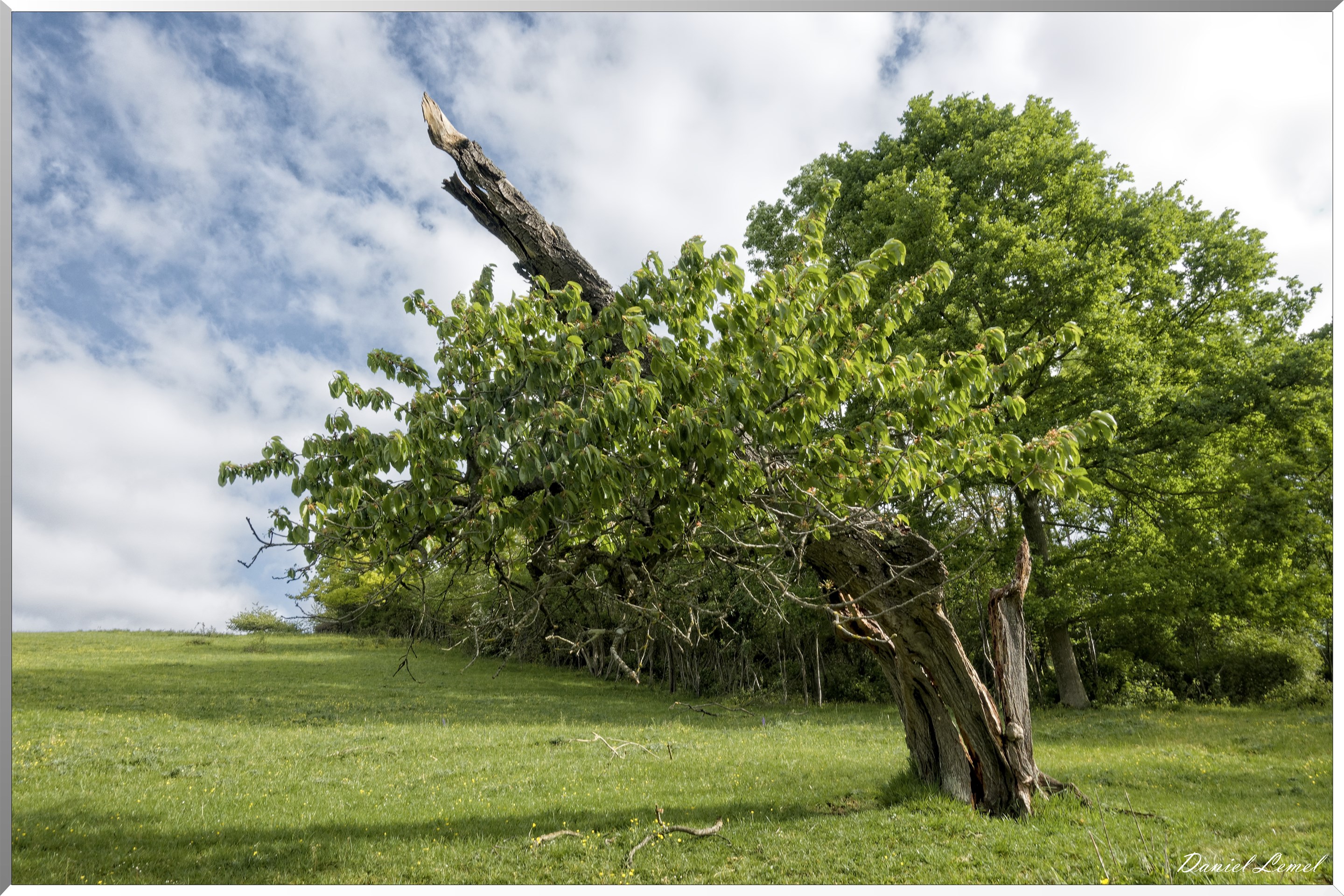 Saint-Pierre-de-Bailleul