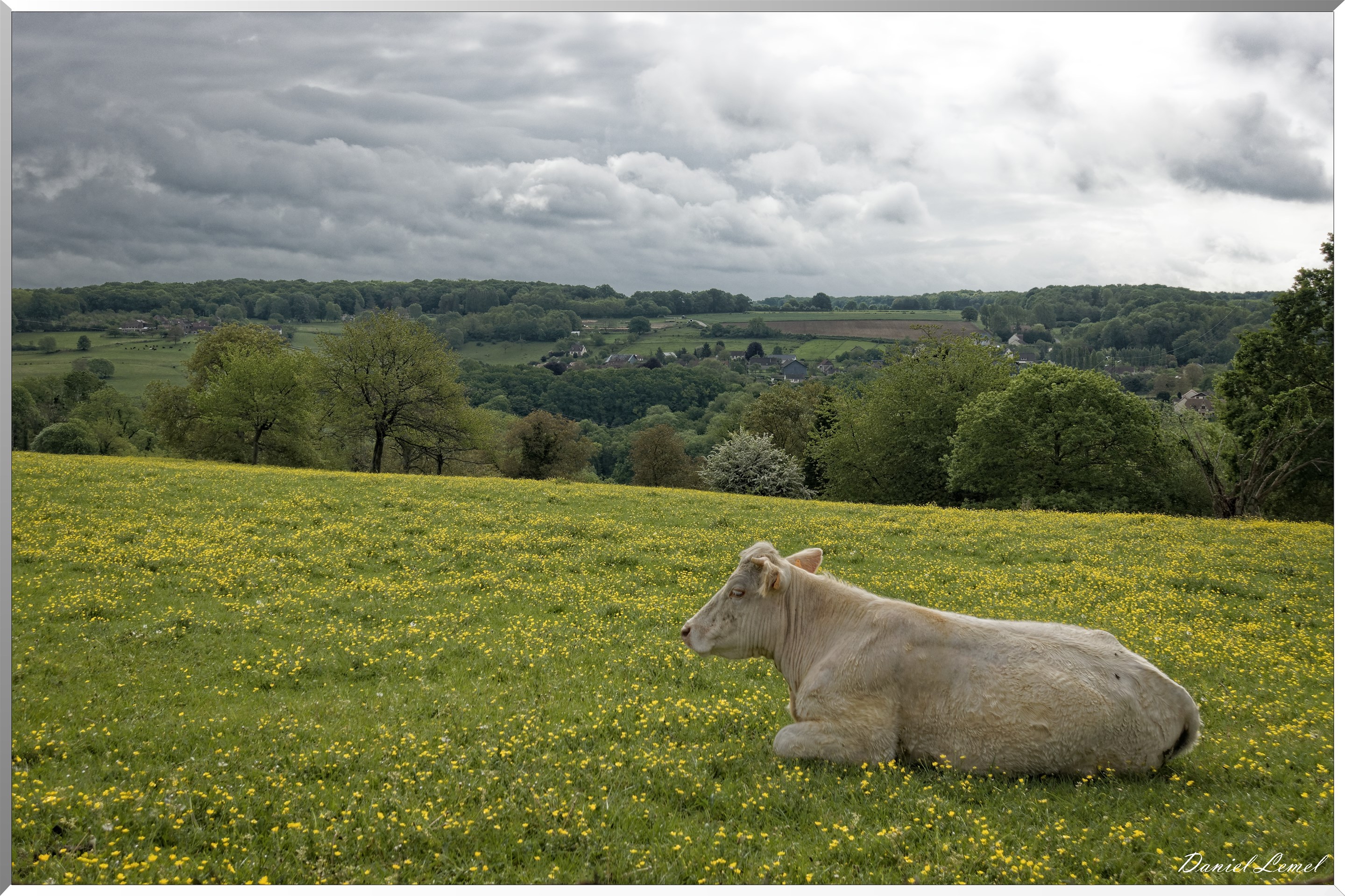 Saint-Pierre-de-Bailleul