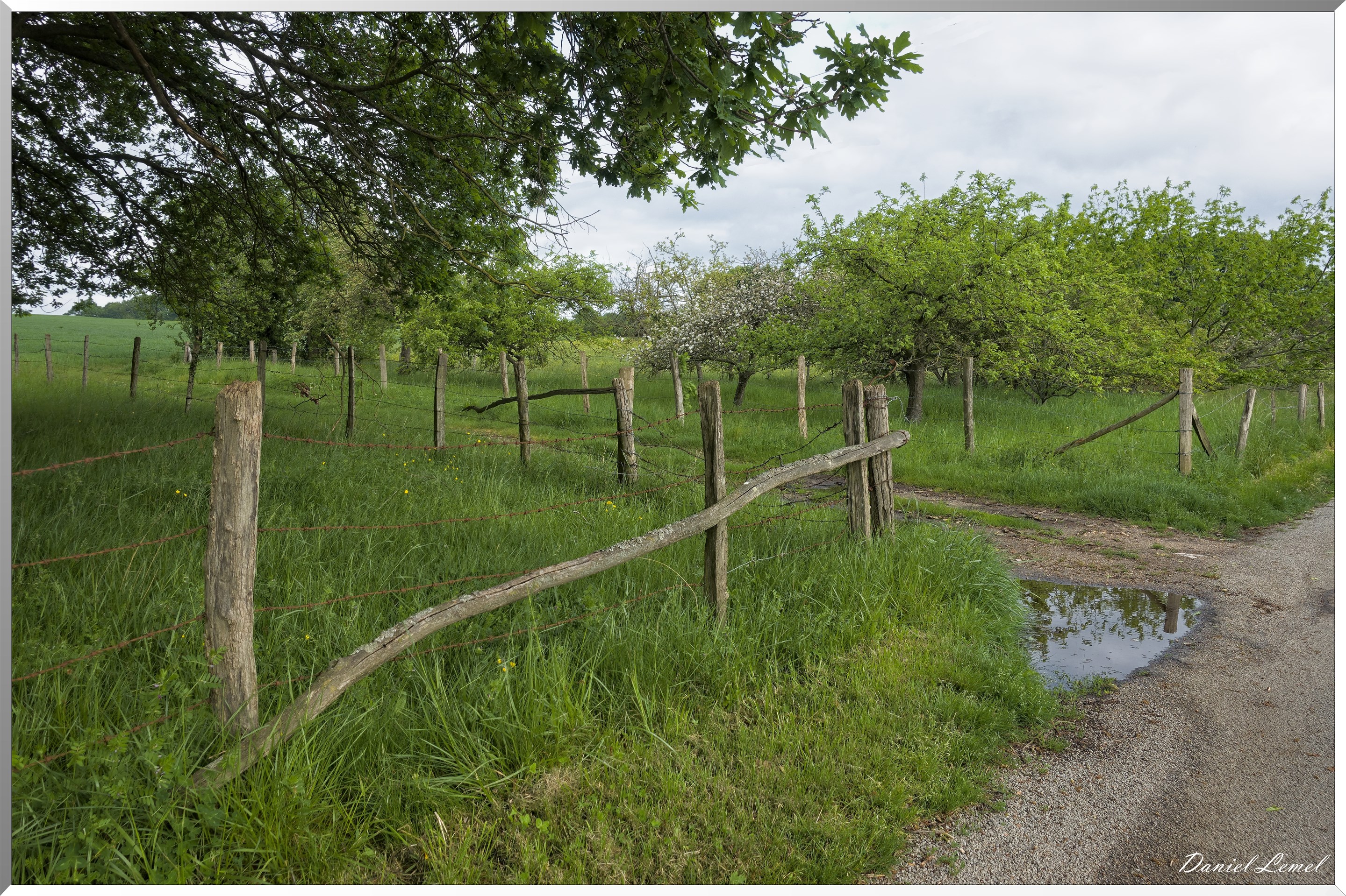 Saint-Pierre-de-Bailleul