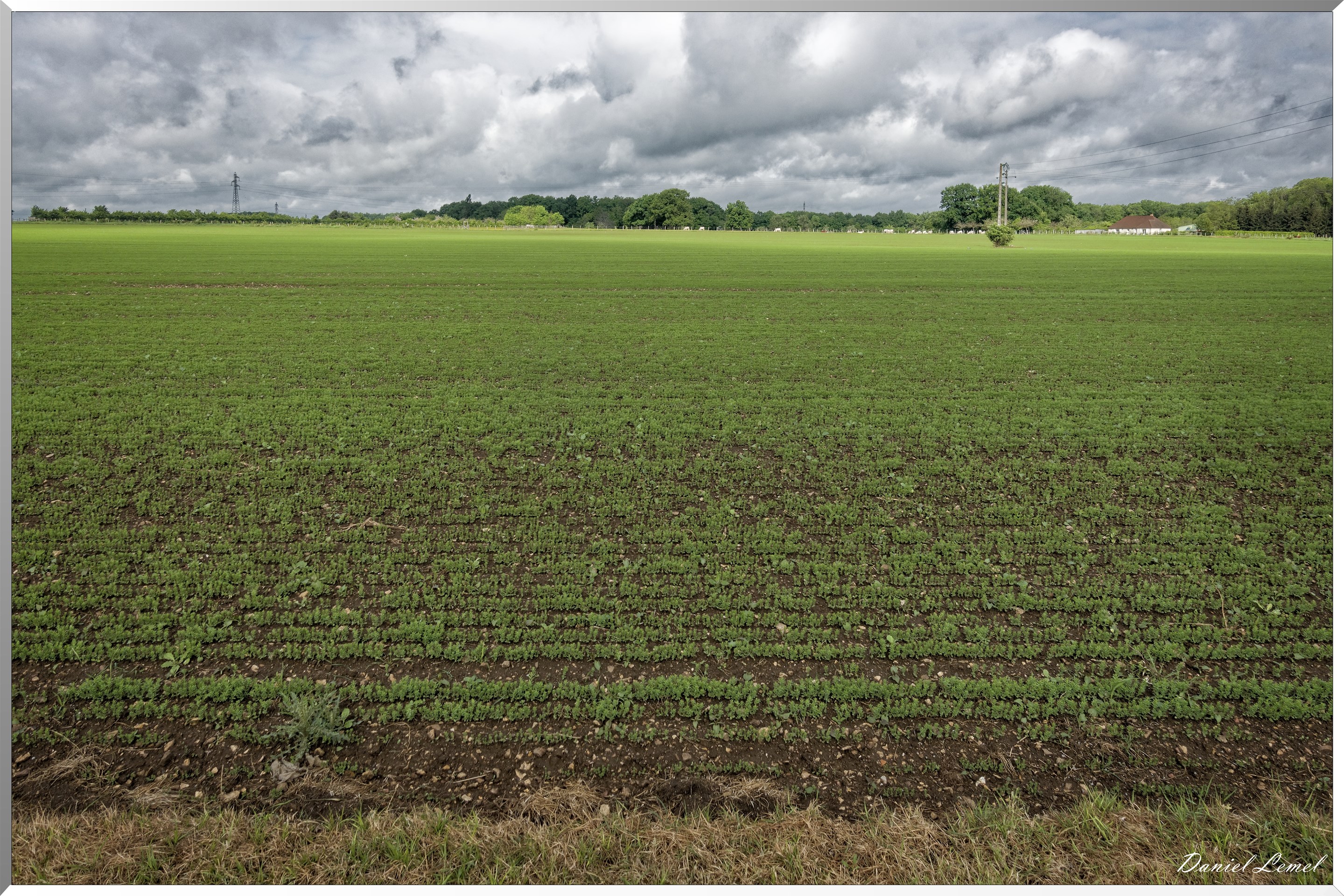 Saint-Pierre-de-Bailleul