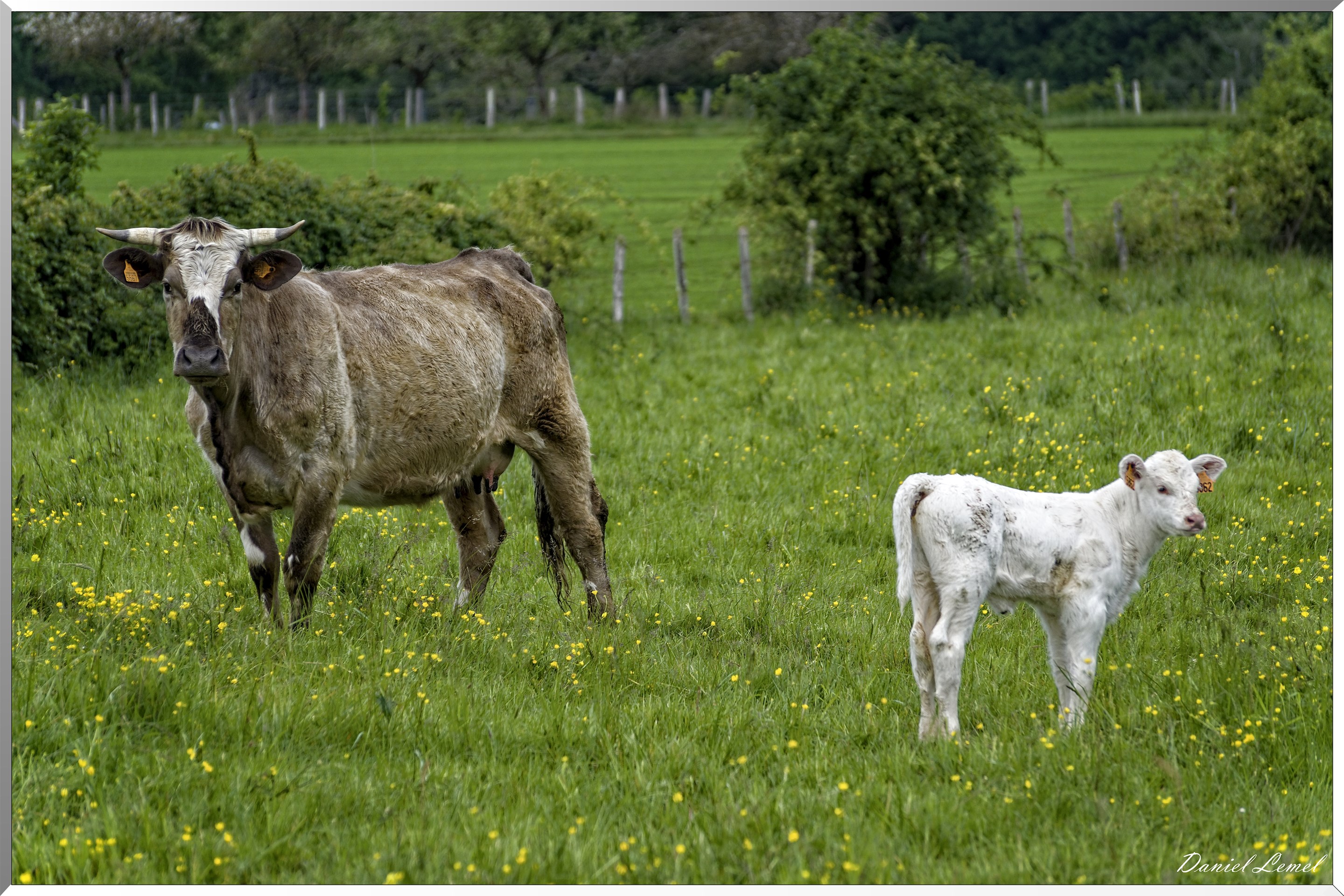 Saint-Pierre-de-Bailleul