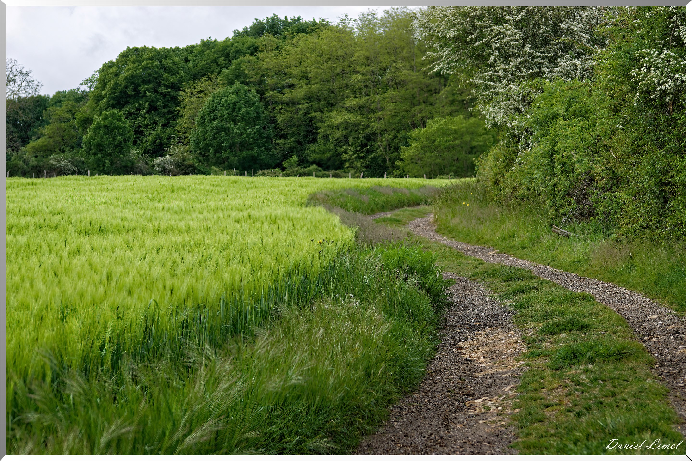 Saint-Pierre-de-Bailleul