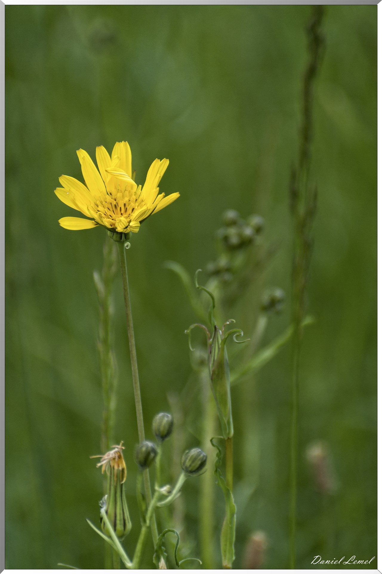 Saint-Pierre-de-Bailleul