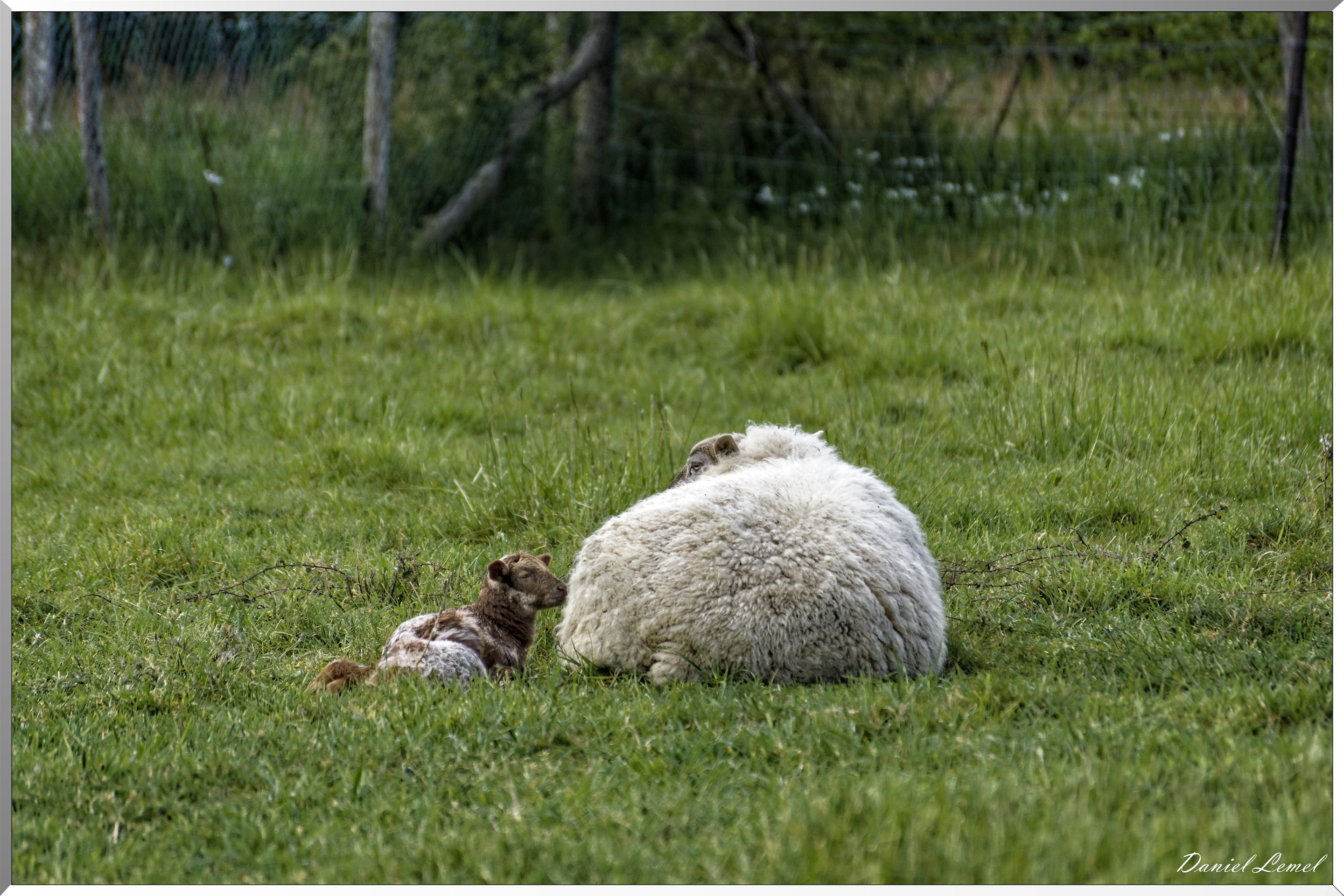 Saint-Pierre-de-Bailleul