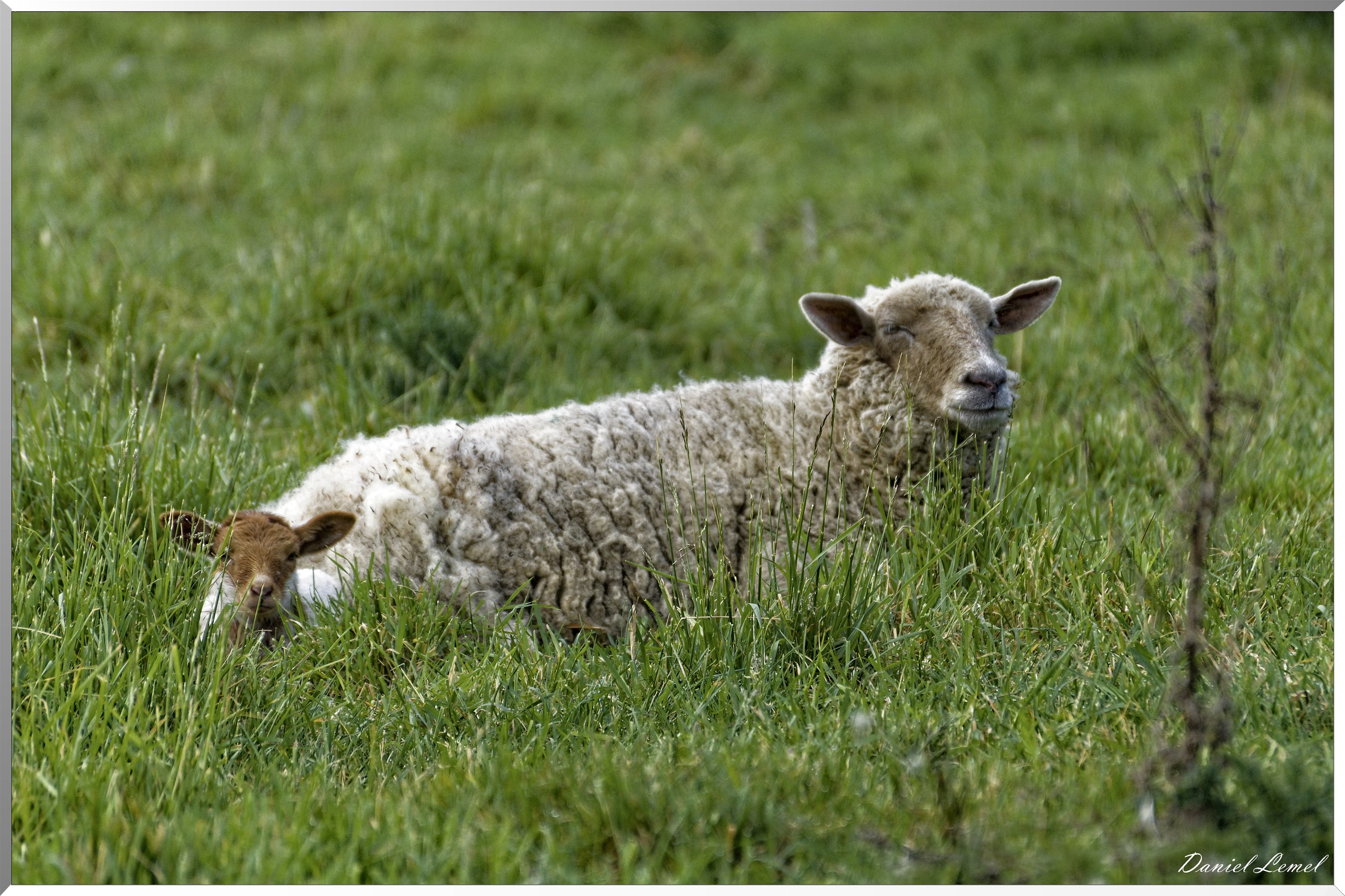 Saint-Pierre-de-Bailleul