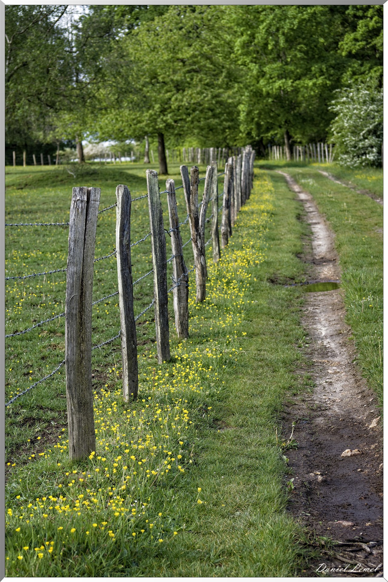 Saint-Pierre-de-Bailleul