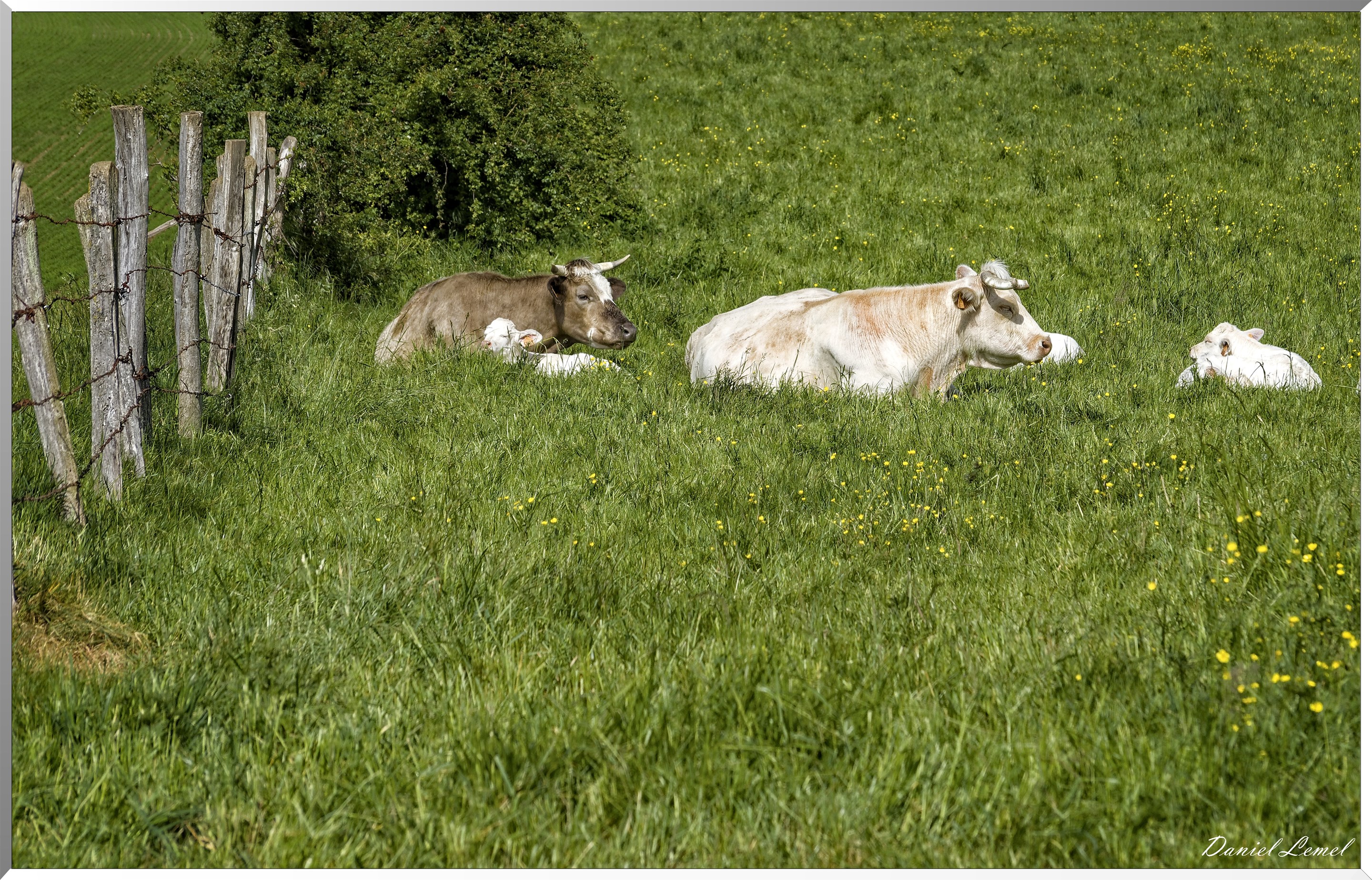 Saint-Pierre-de-Bailleul