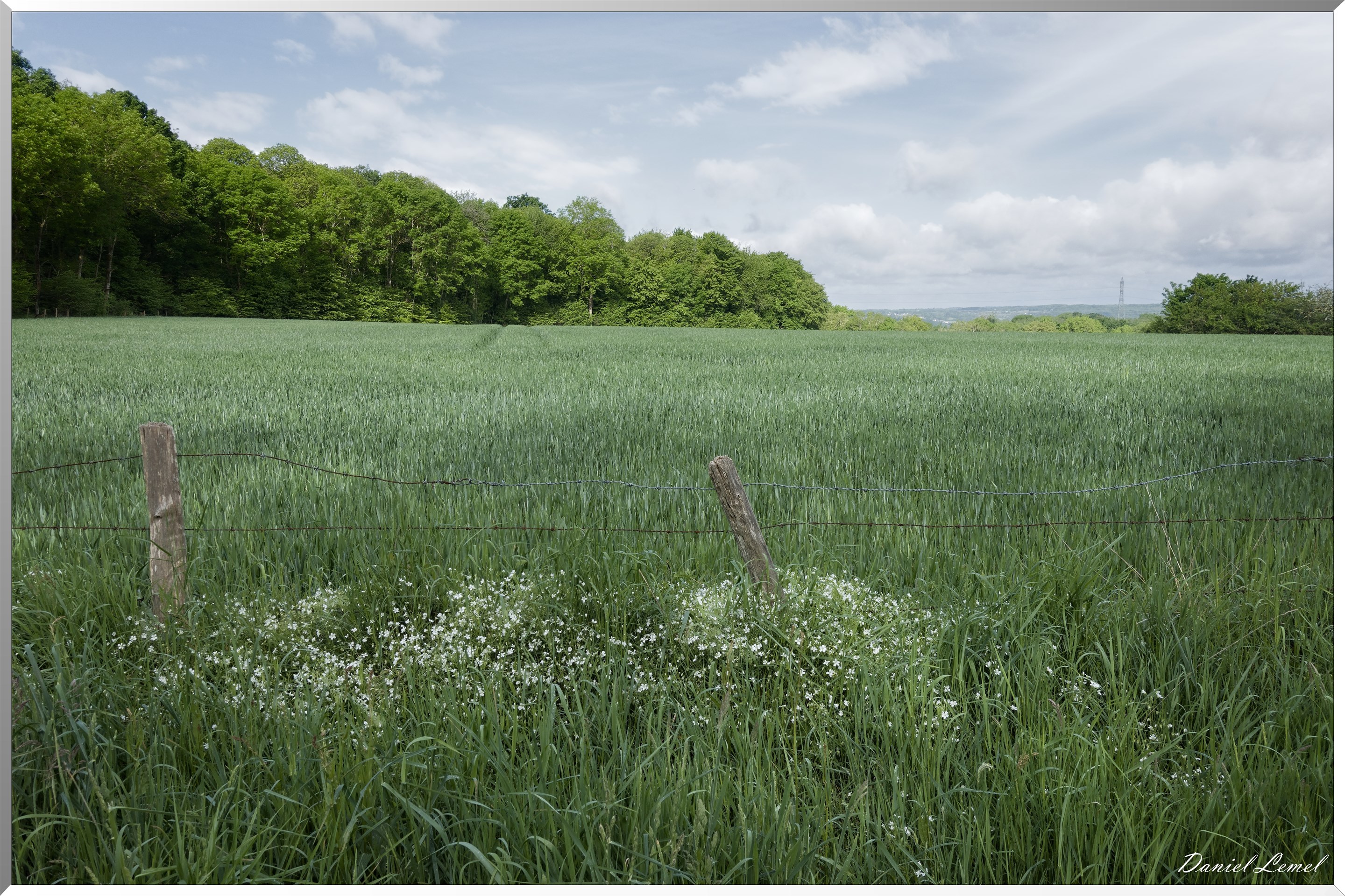 Saint-Pierre-de-Bailleul