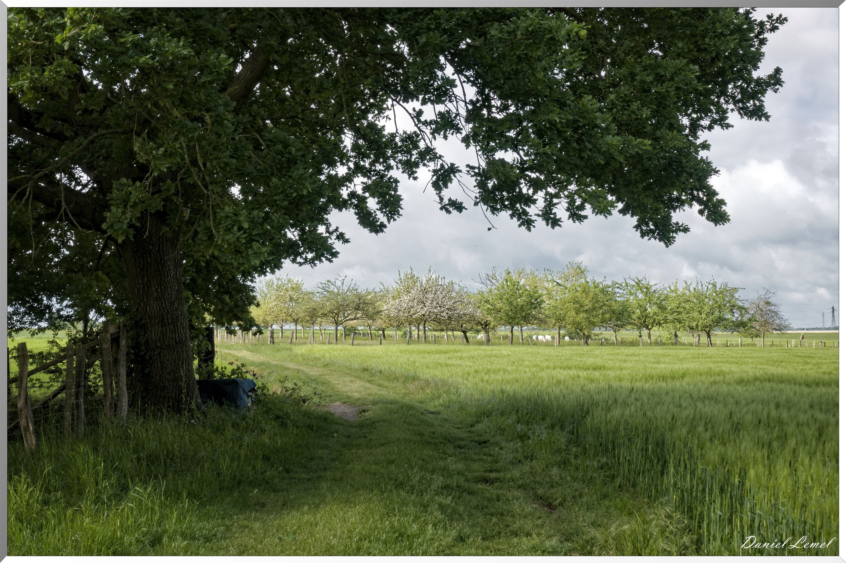 Saint-Pierre-de-Bailleul