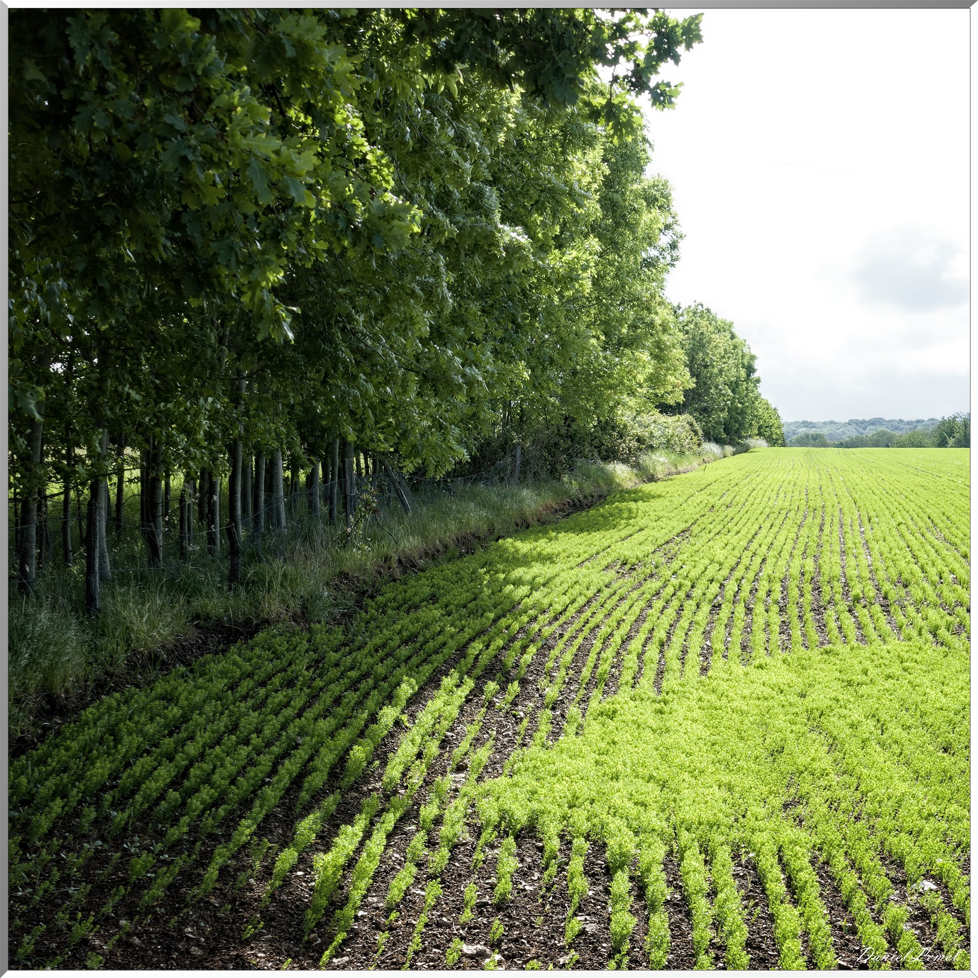 Saint-Pierre-de-Bailleul