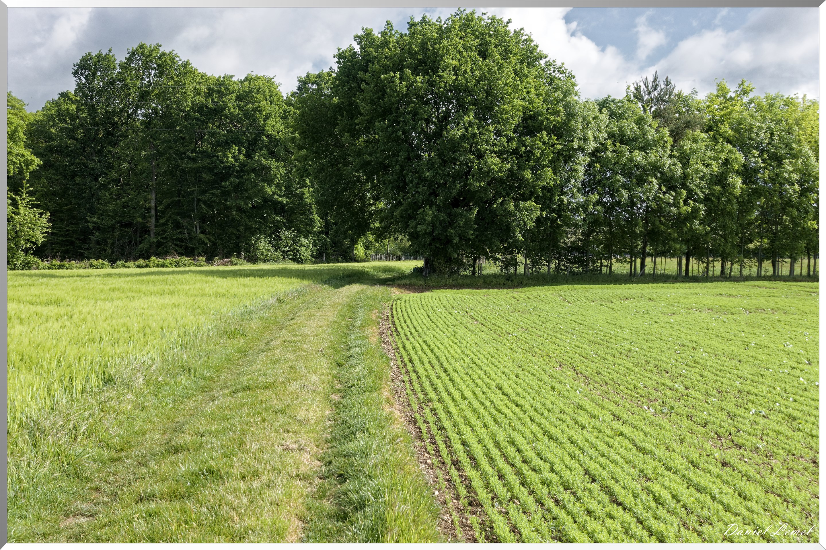 Saint-Pierre-de-Bailleul