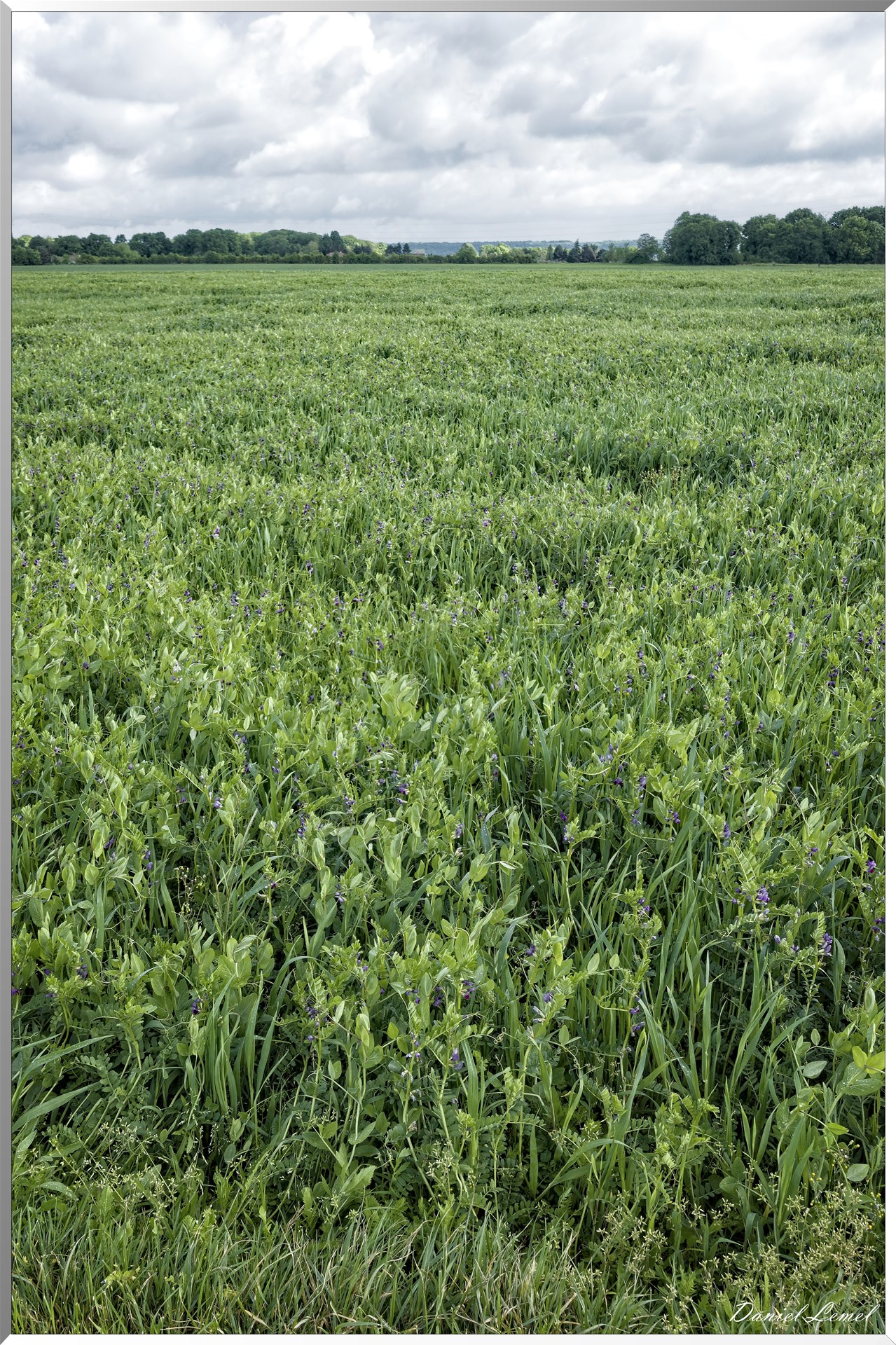 Saint-Pierre-de-Bailleul