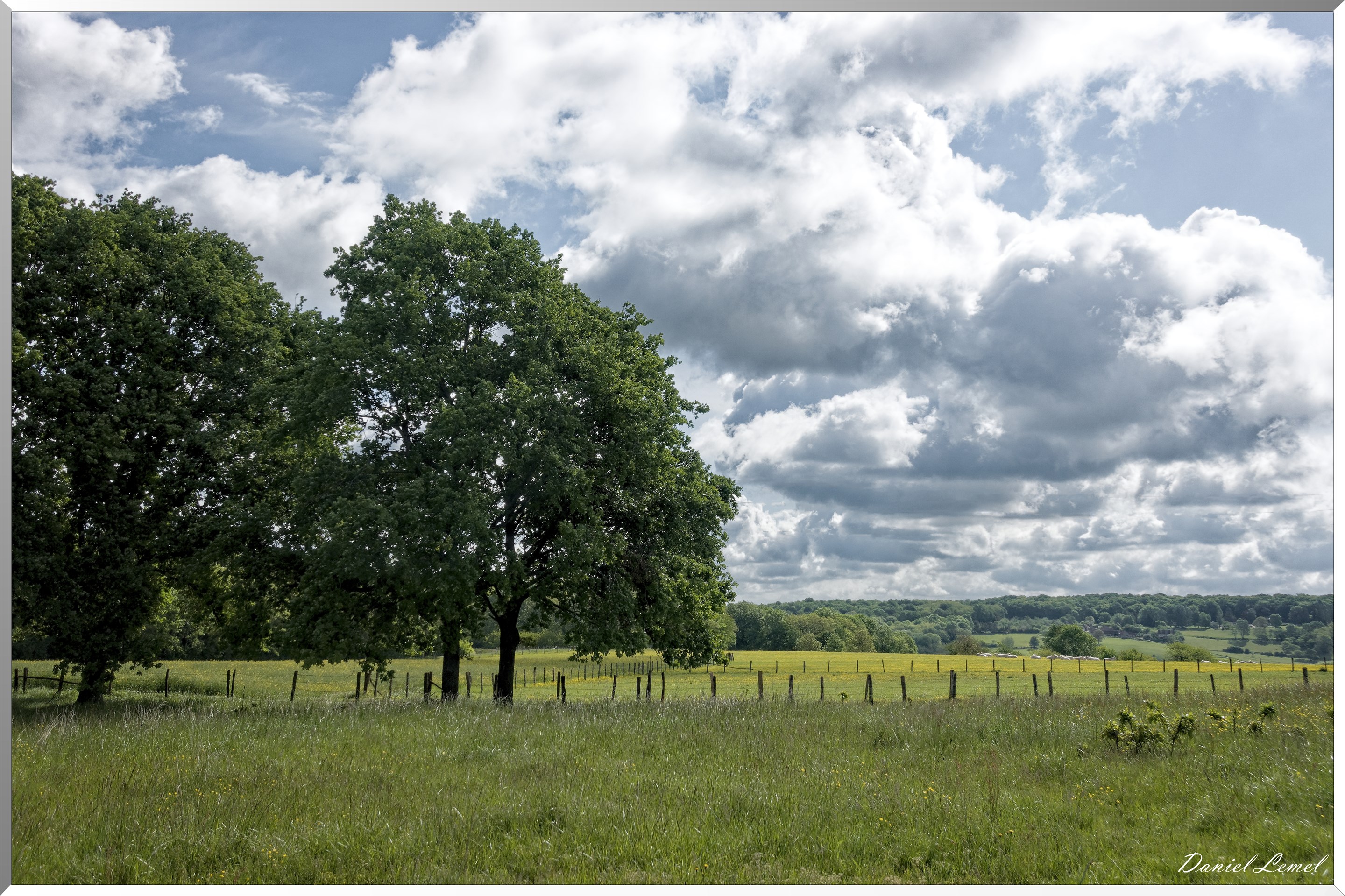Saint-Pierre-de-Bailleul