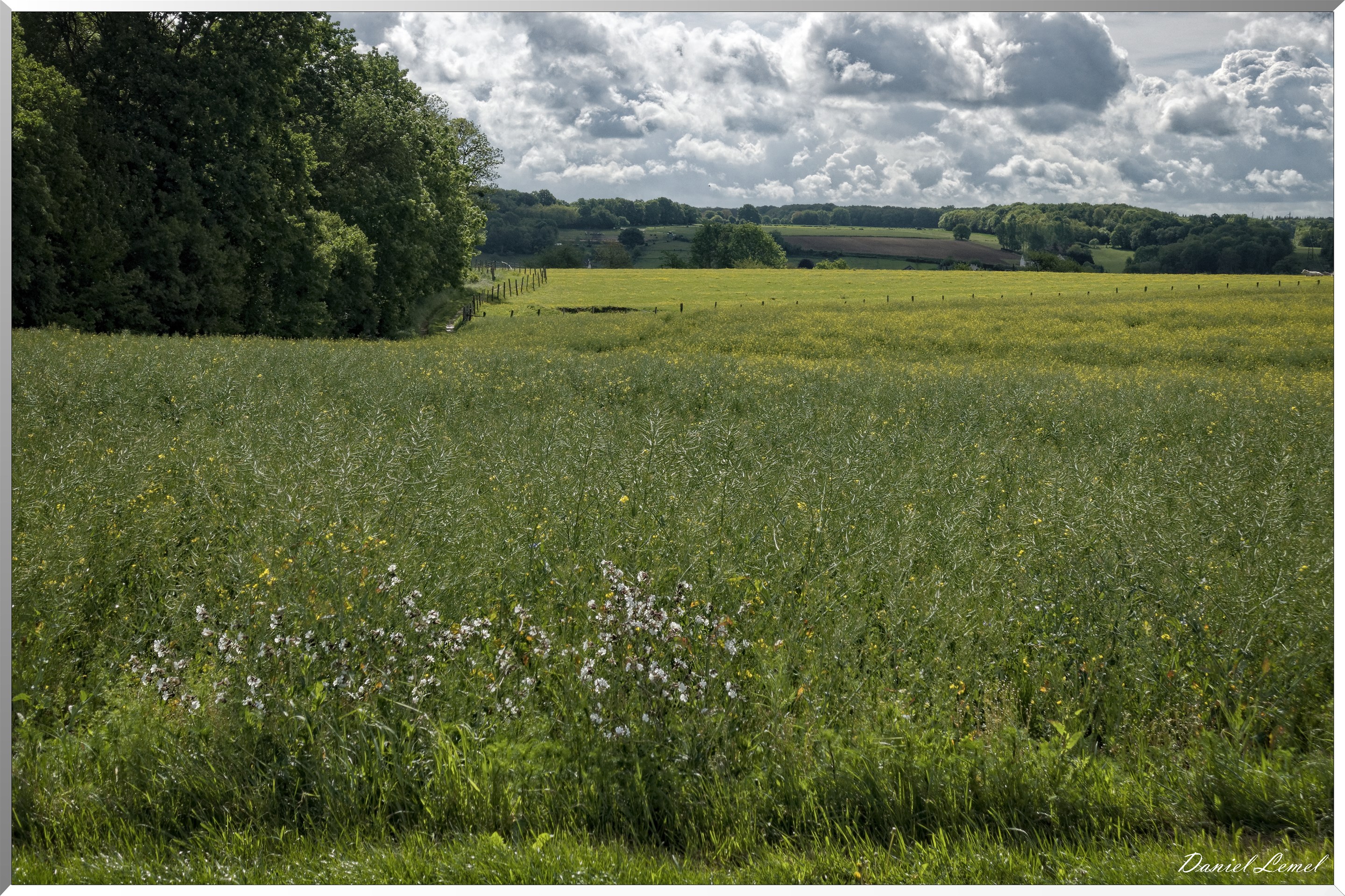Saint-Pierre-de-Bailleul