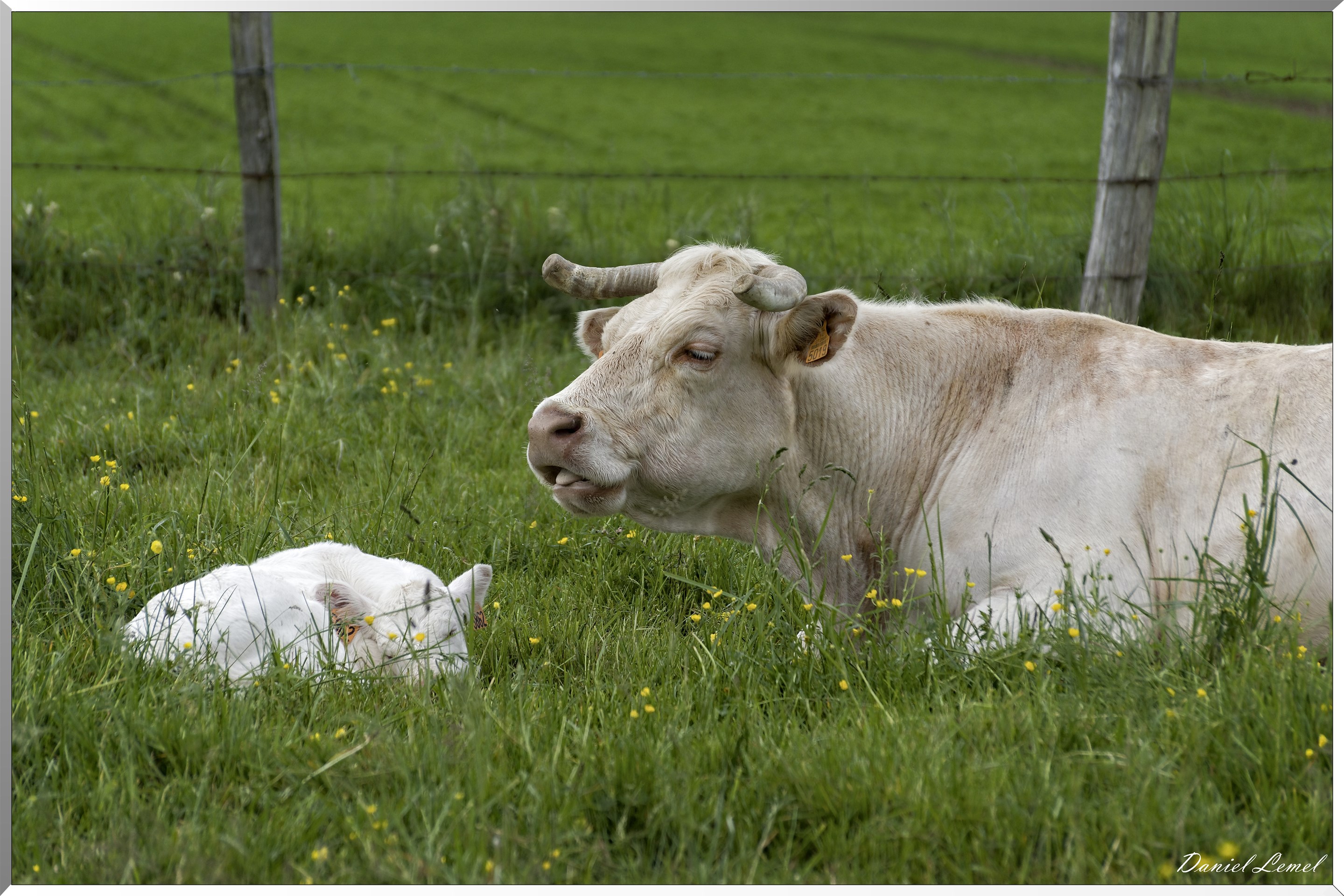 Saint-Pierre-de-Bailleul