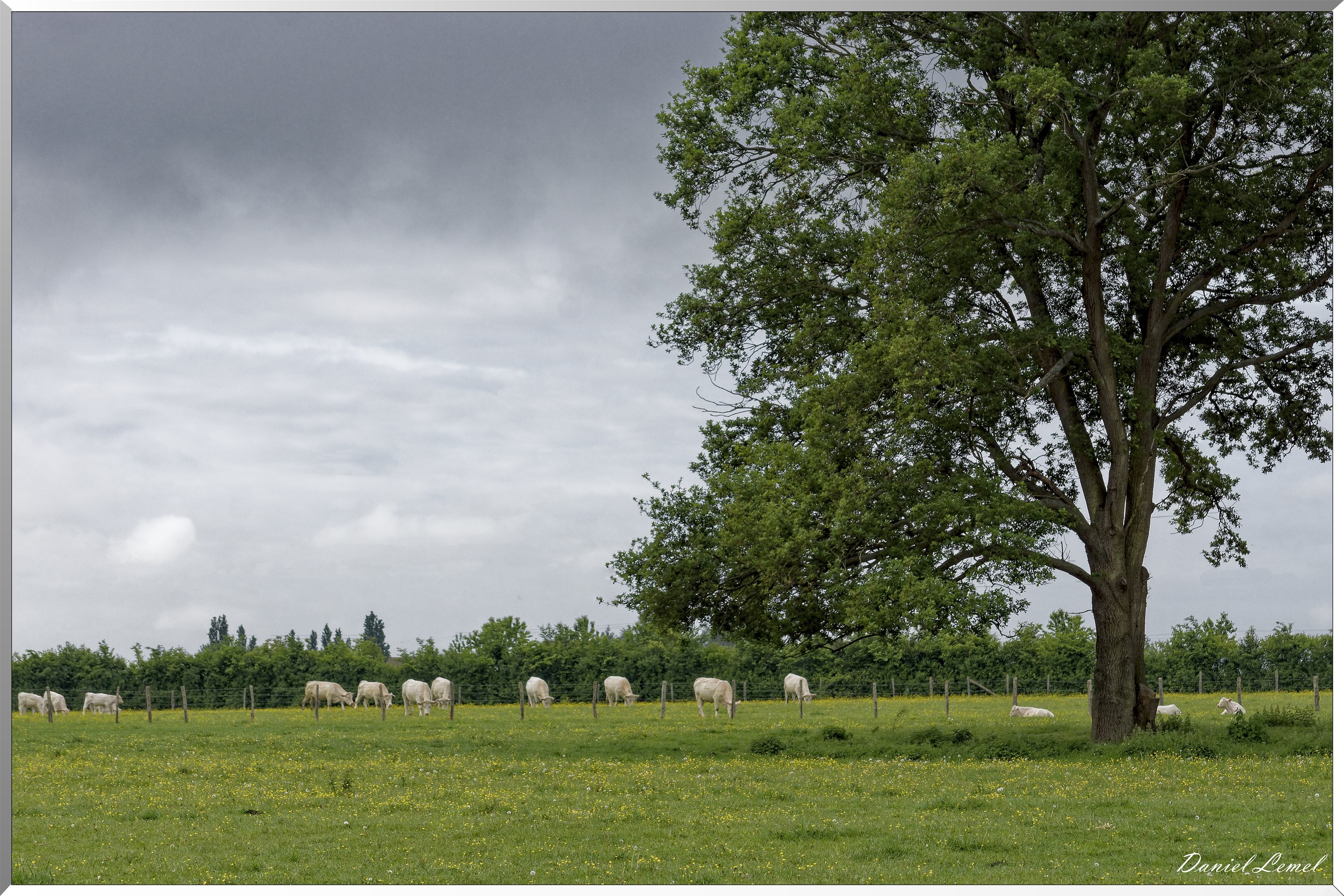 Saint-Pierre-de-Bailleul