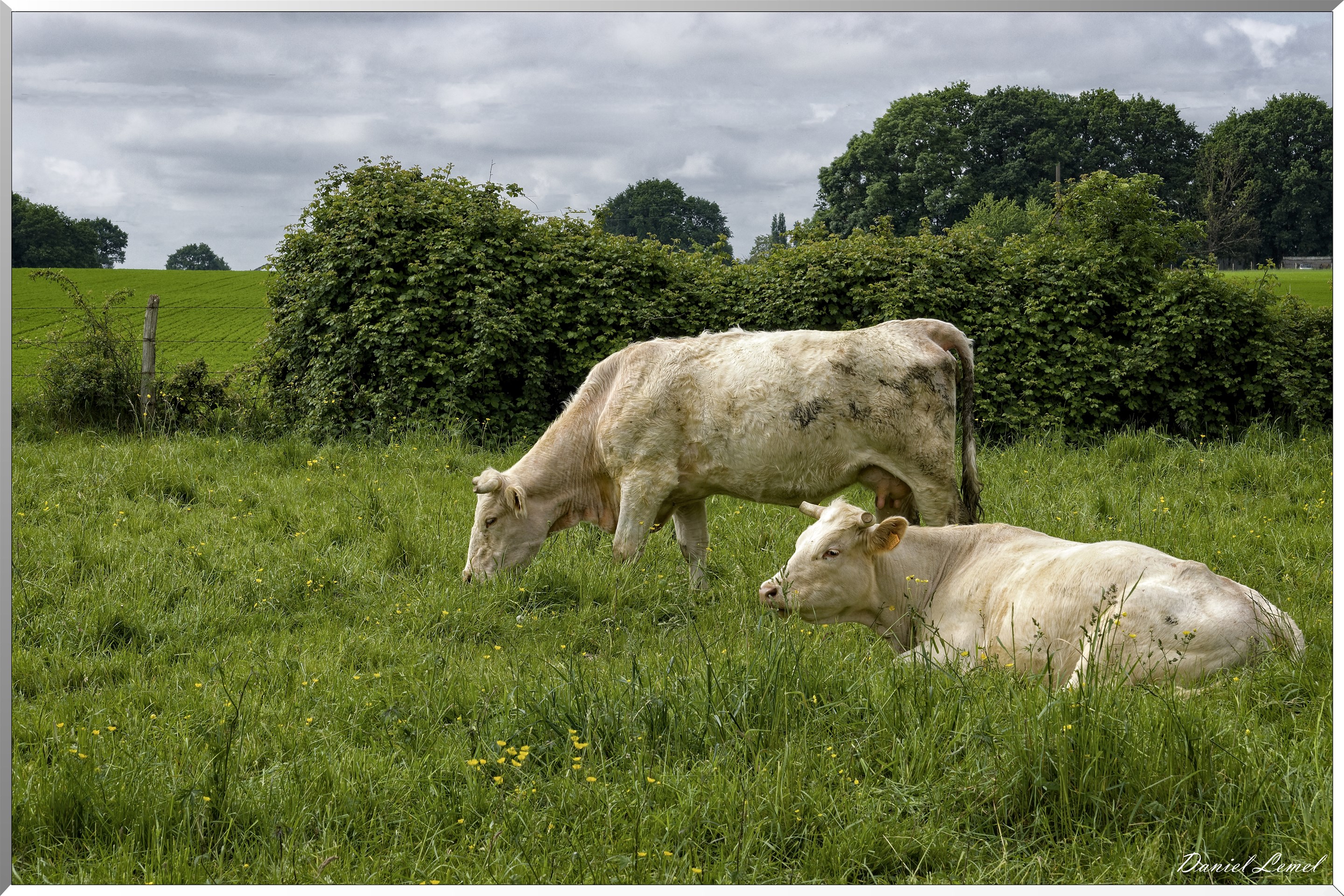 Saint-Pierre-de-Bailleul